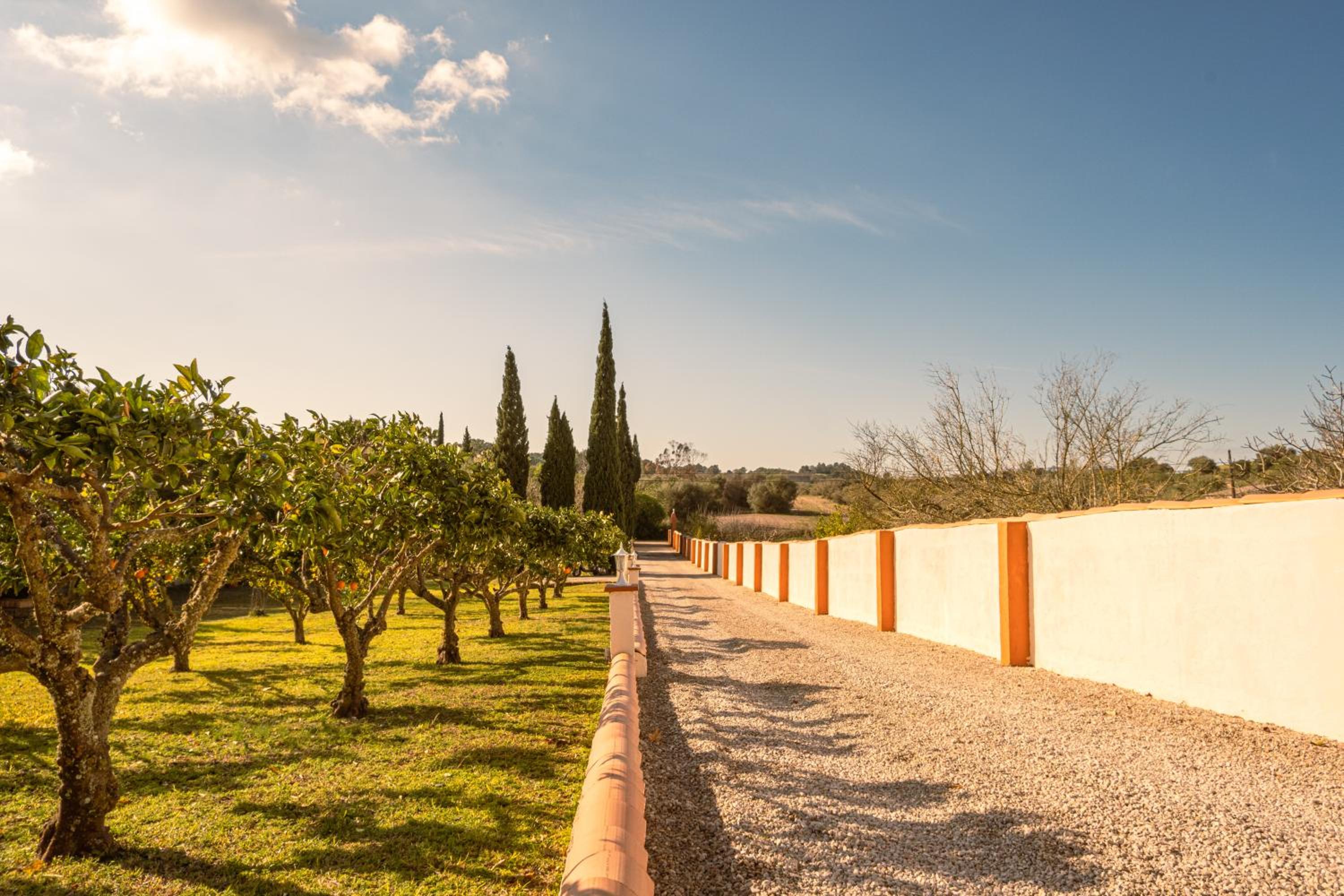Finca Montana