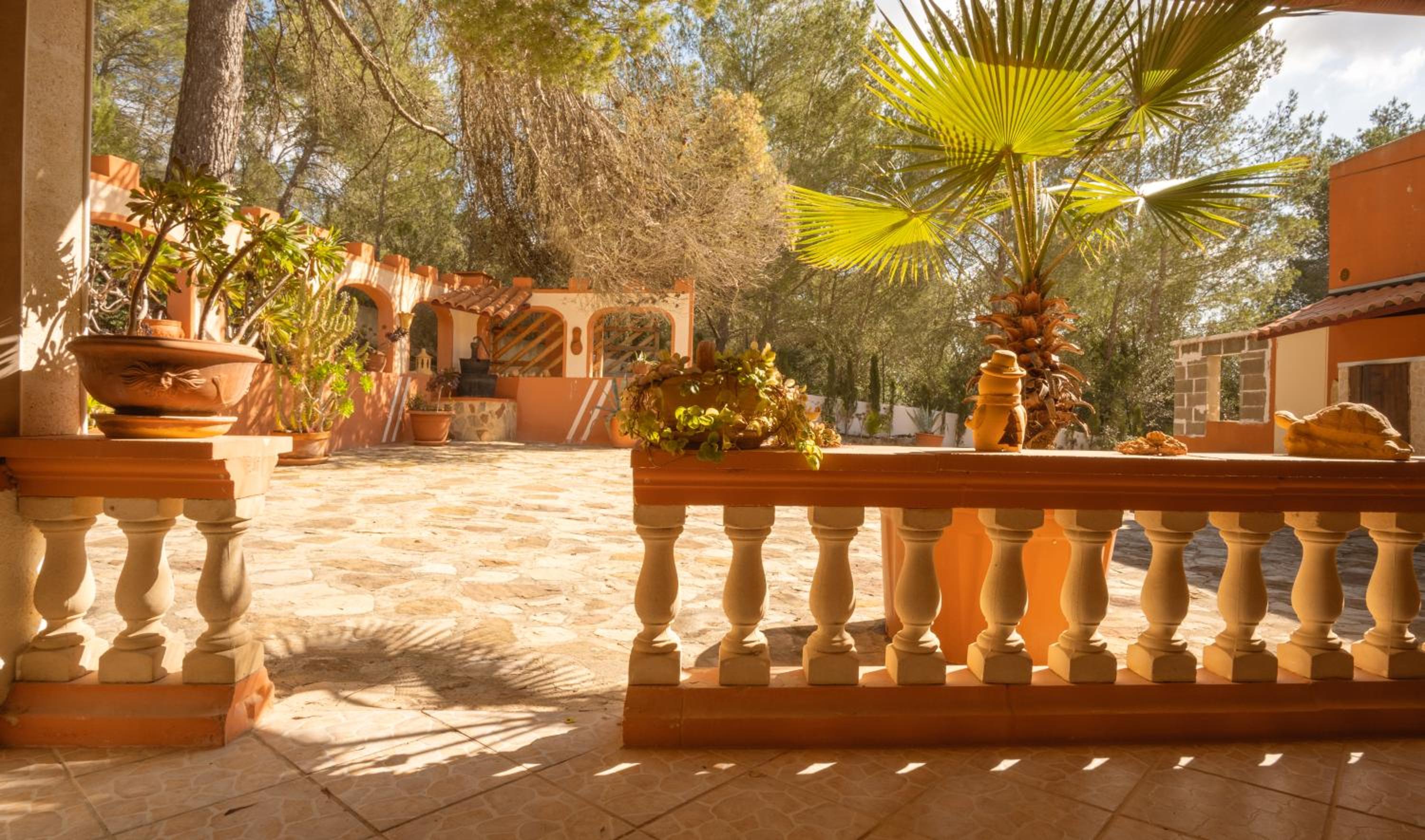 Finca Montana
