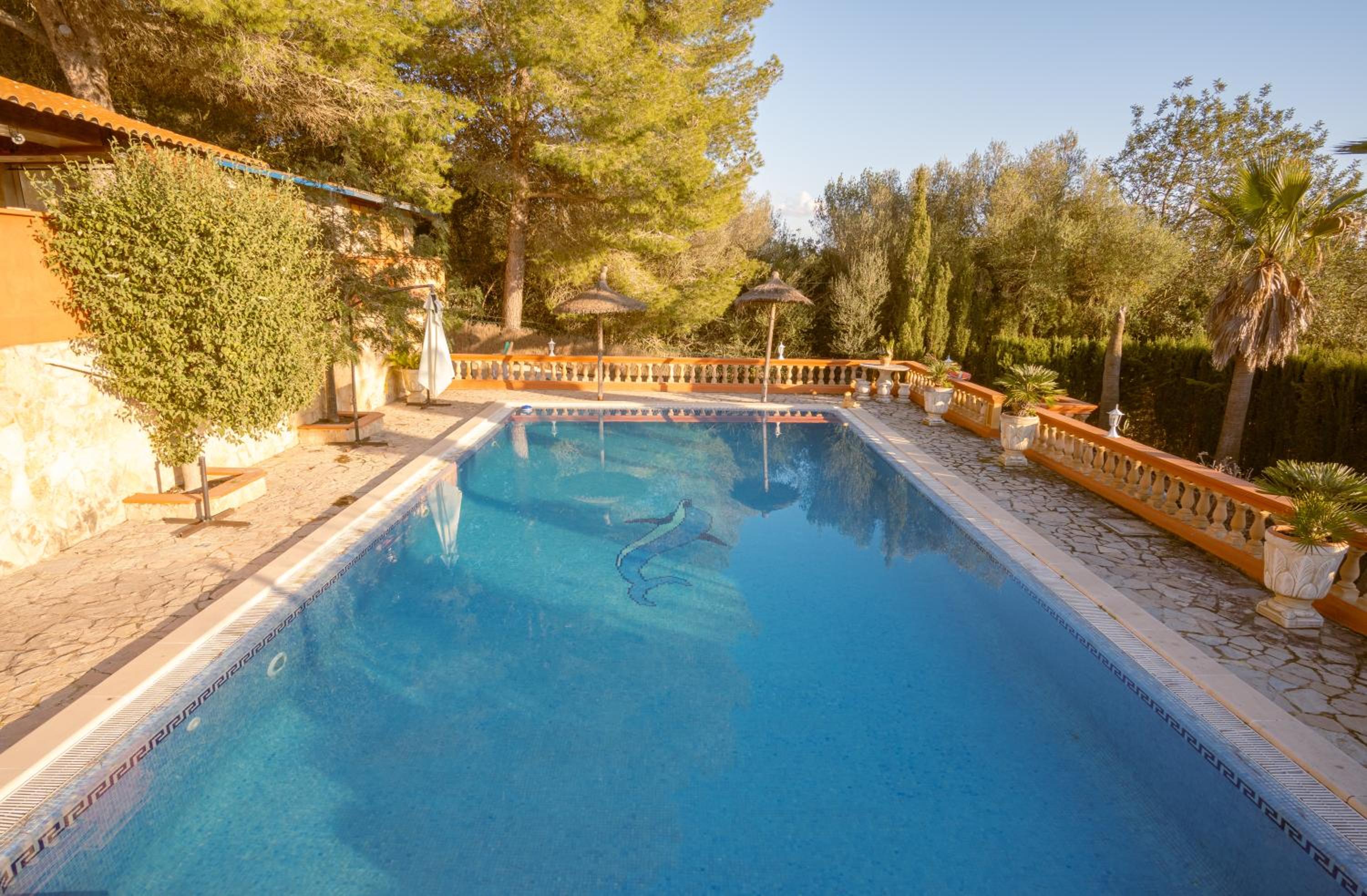 Finca Montana