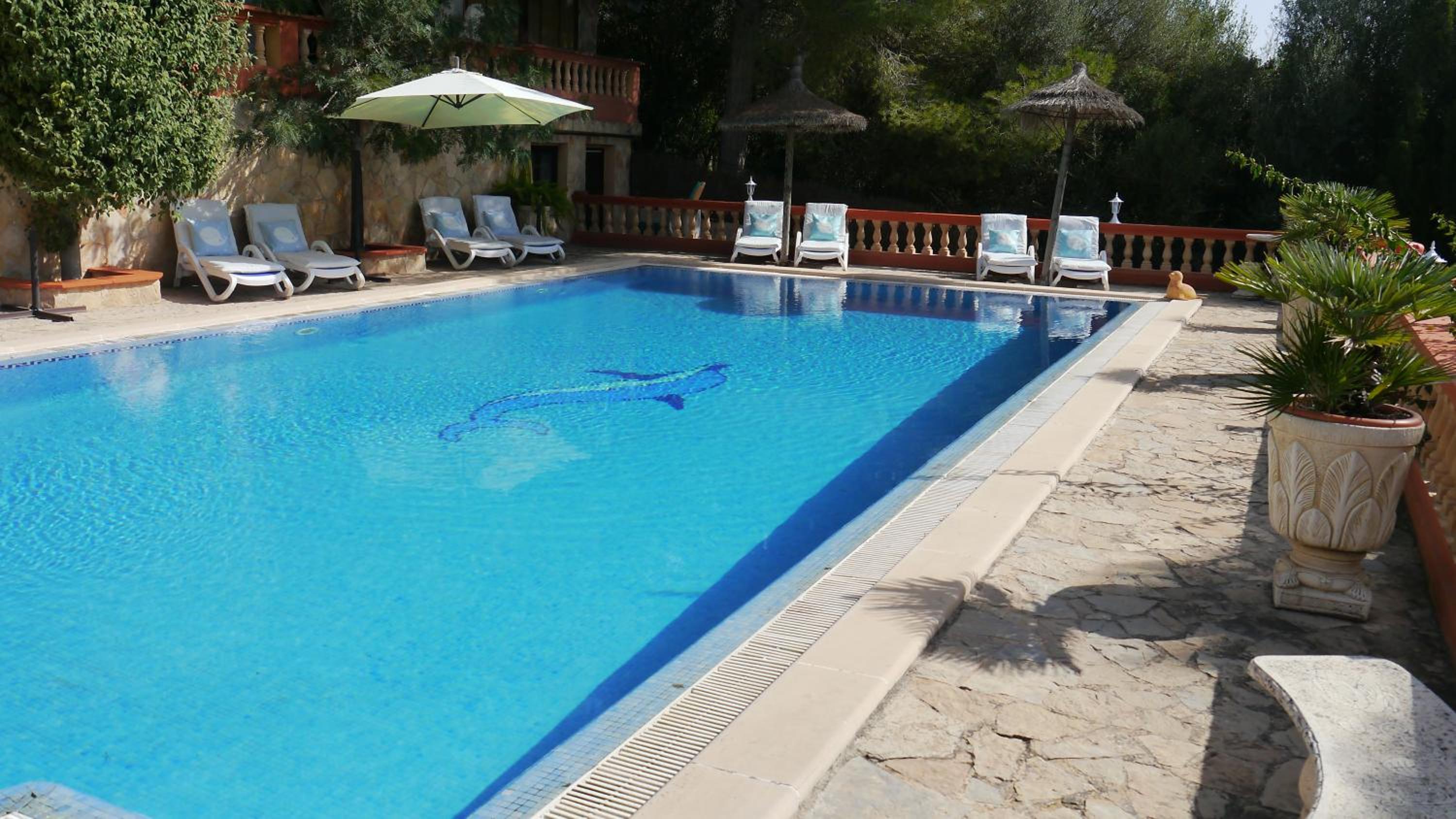 Finca Montana