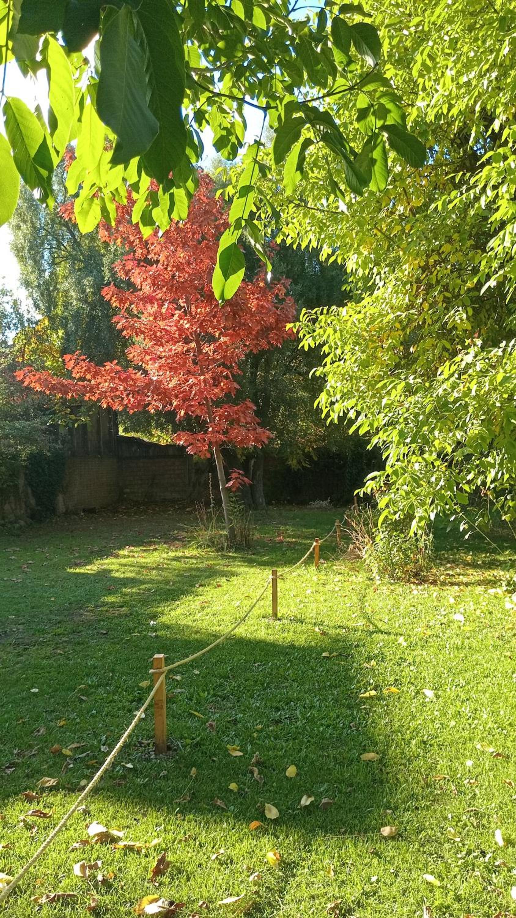 Las Tejuelas - B&B Patagónico