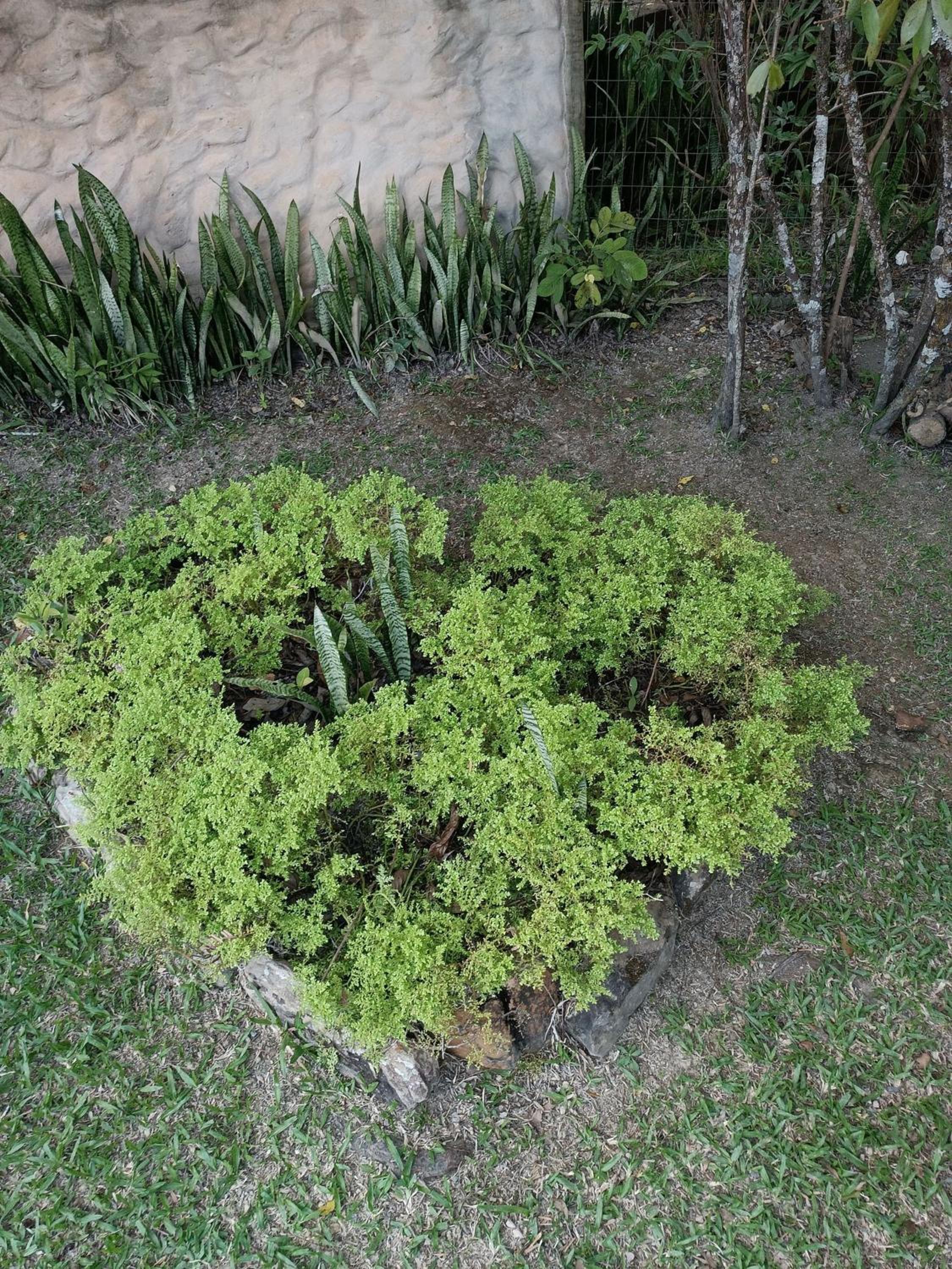Hospedagem Chácara Encantada - Holiday Homes in the heart of Chapada dos Veadeiros