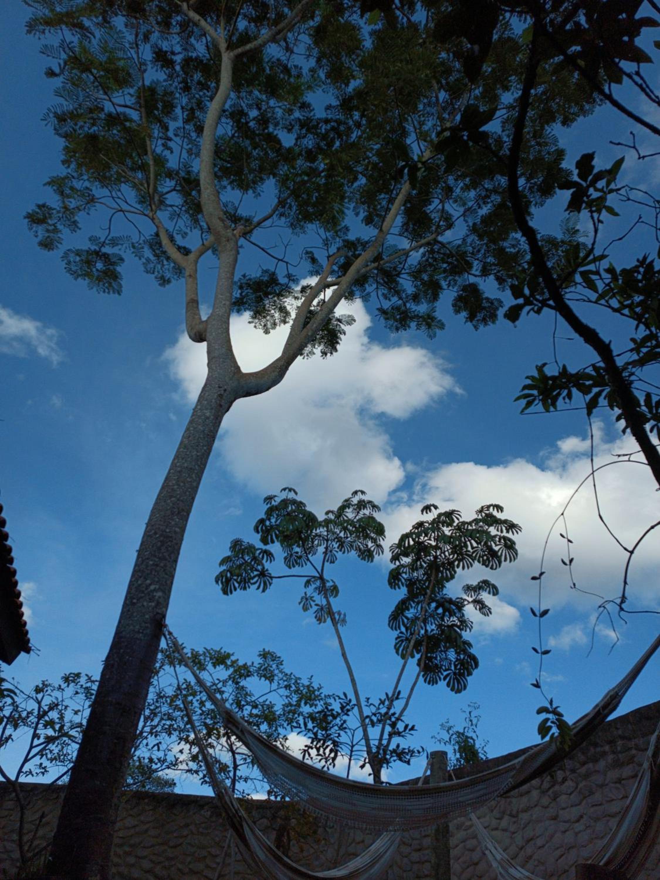 Hospedagem Chácara Encantada - Holiday Homes in the heart of Chapada dos Veadeiros