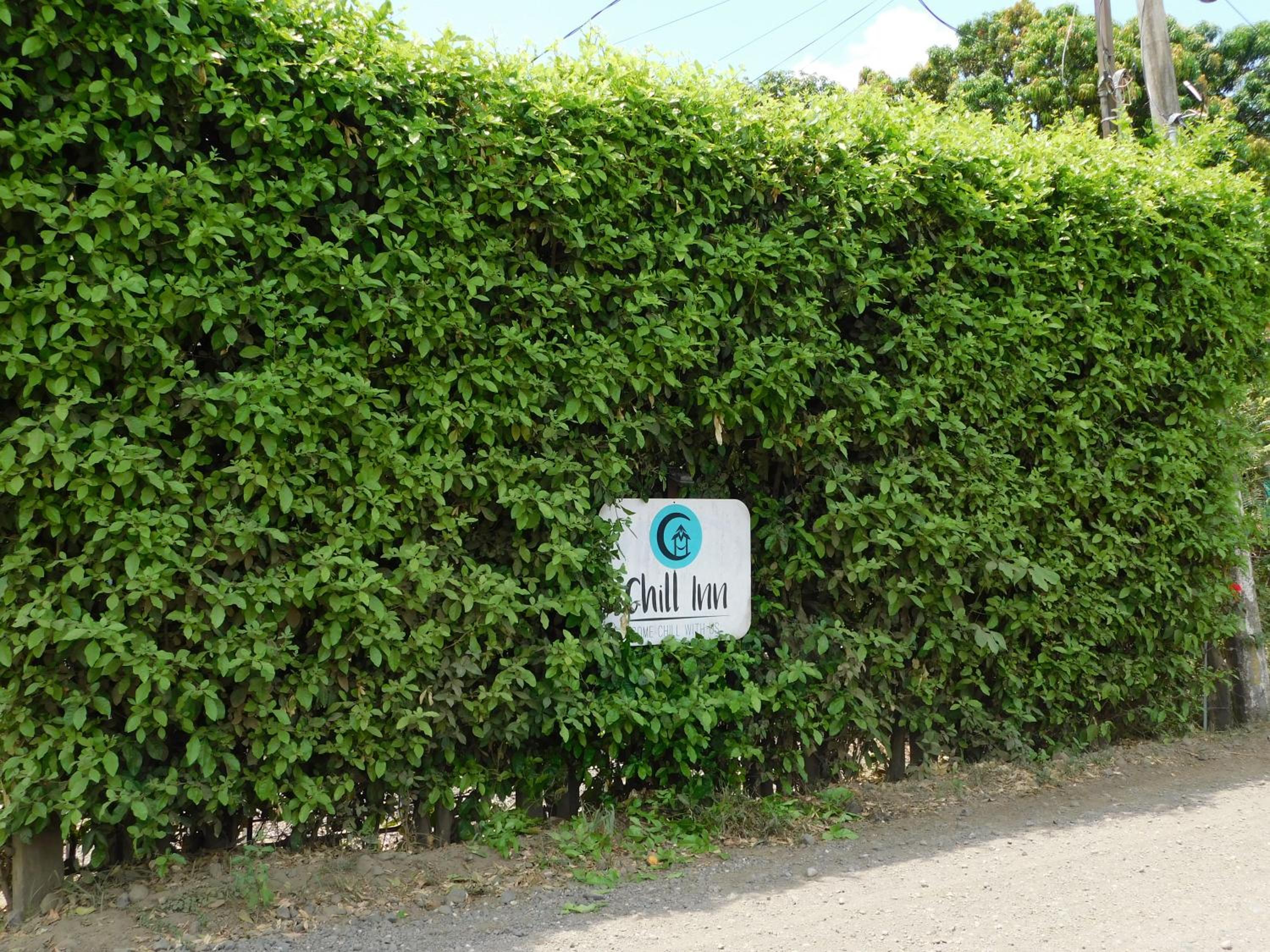 Chill-Inn Nosara