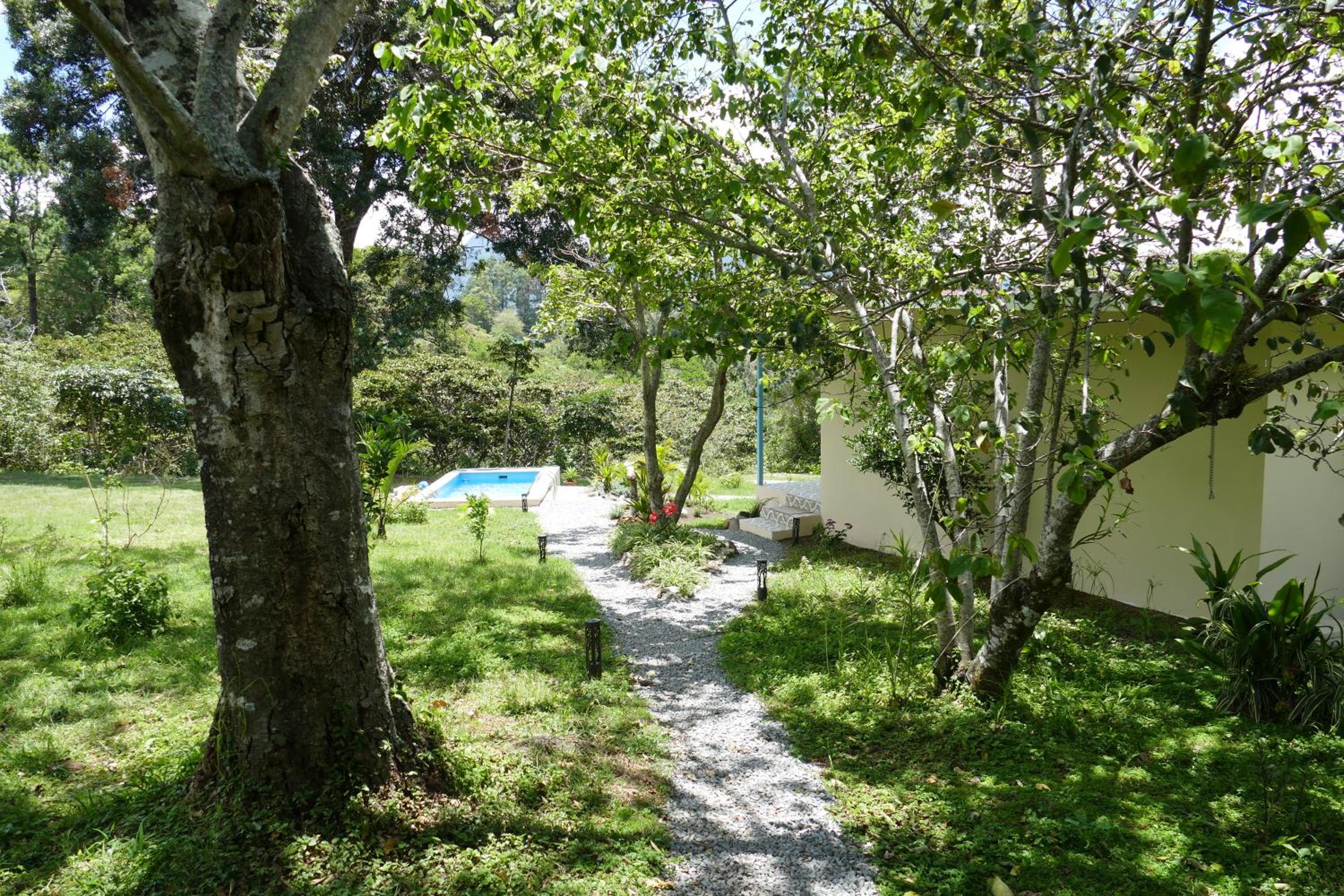 Photo 40