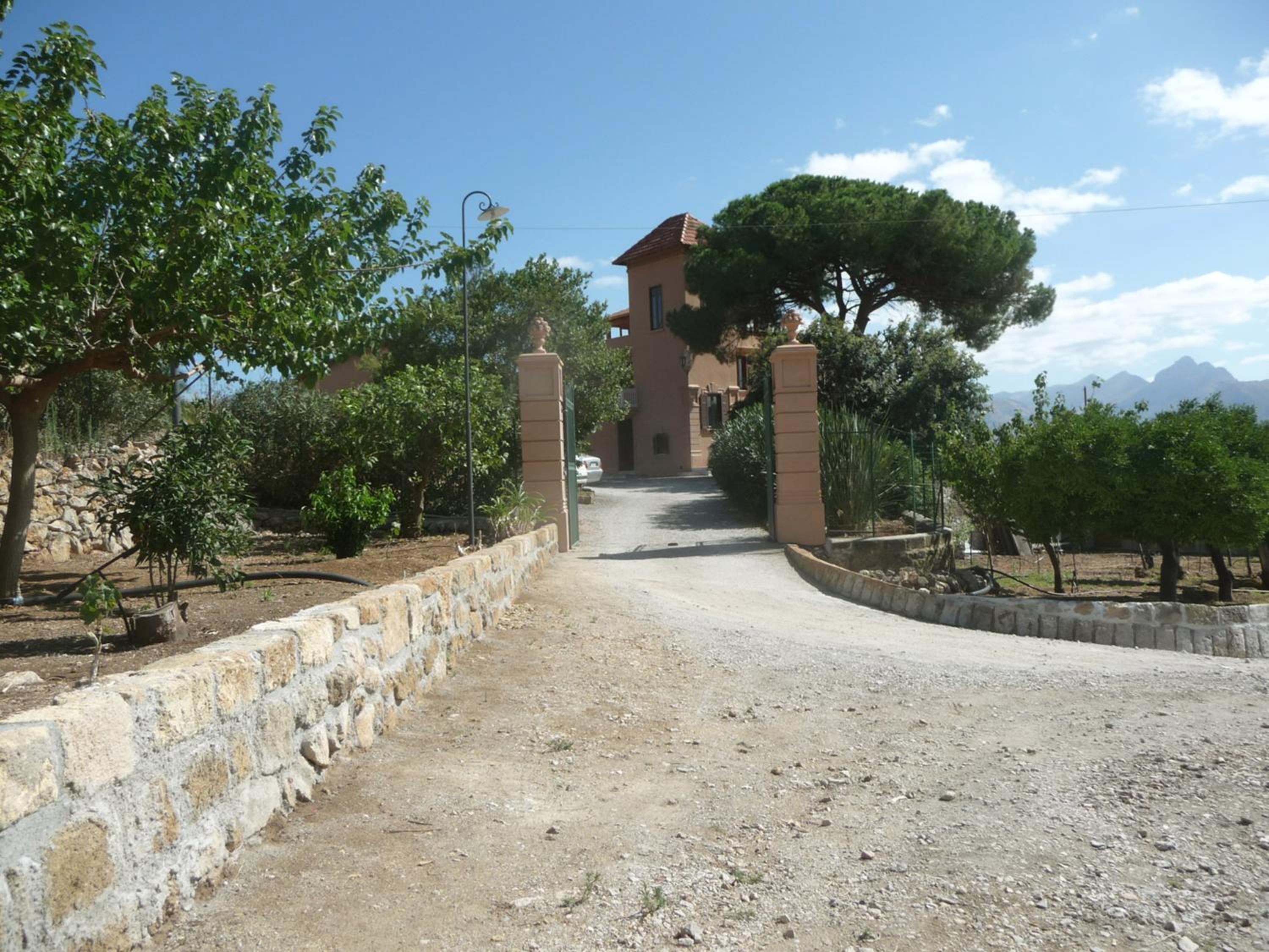 Photo 8