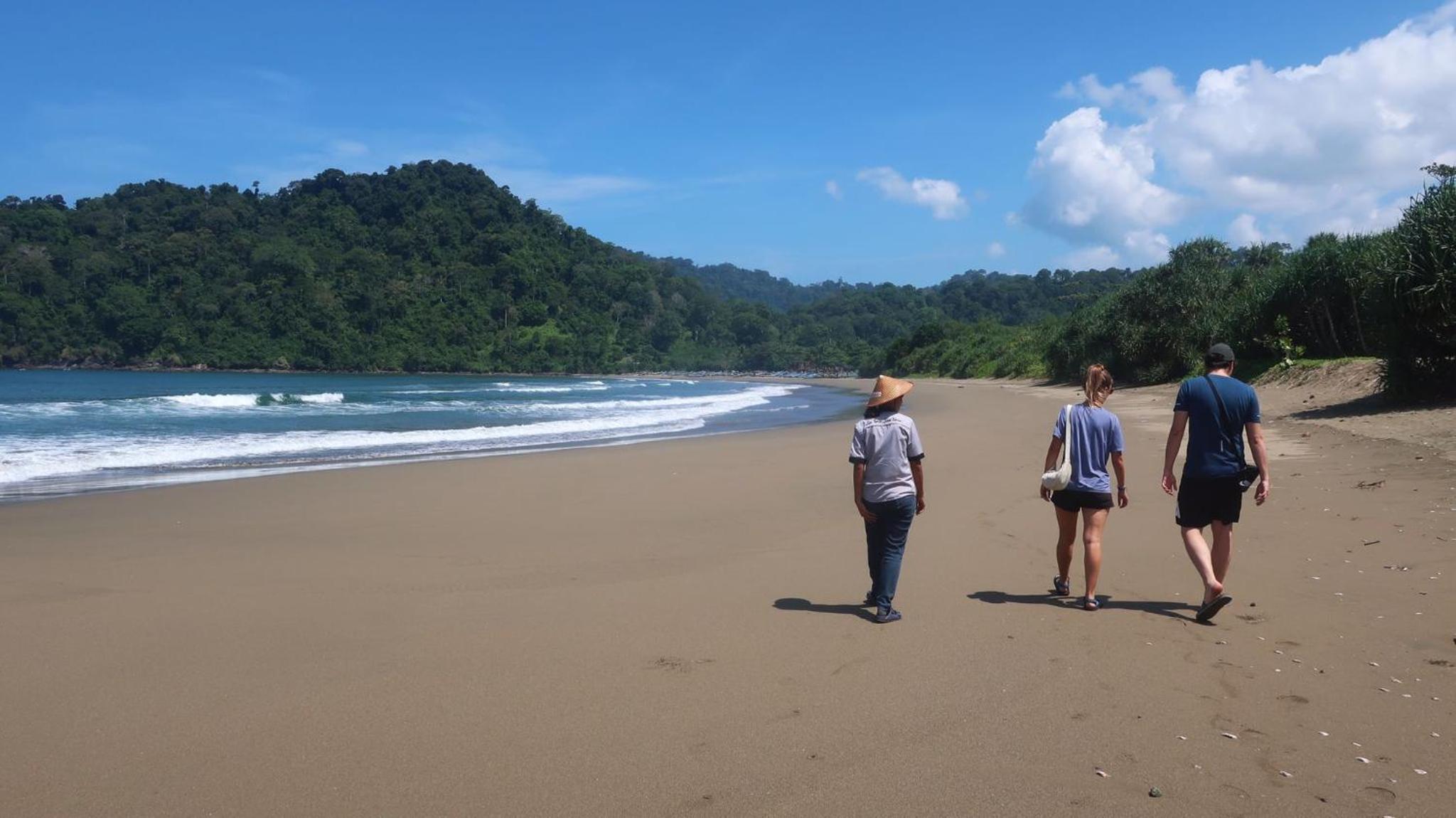 Adventure Turtle Homestay Meru Betiri