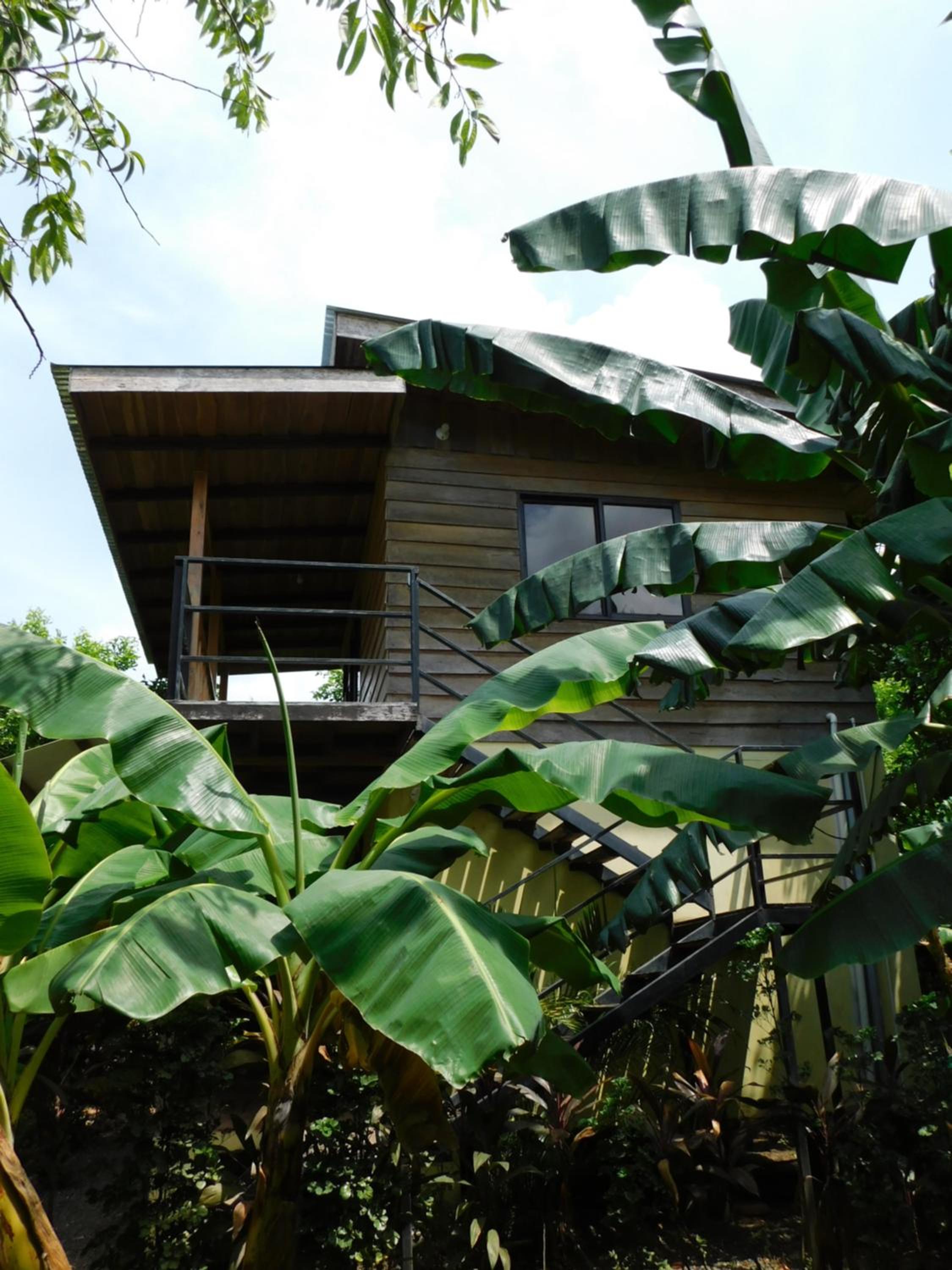 Chill-Inn Nosara