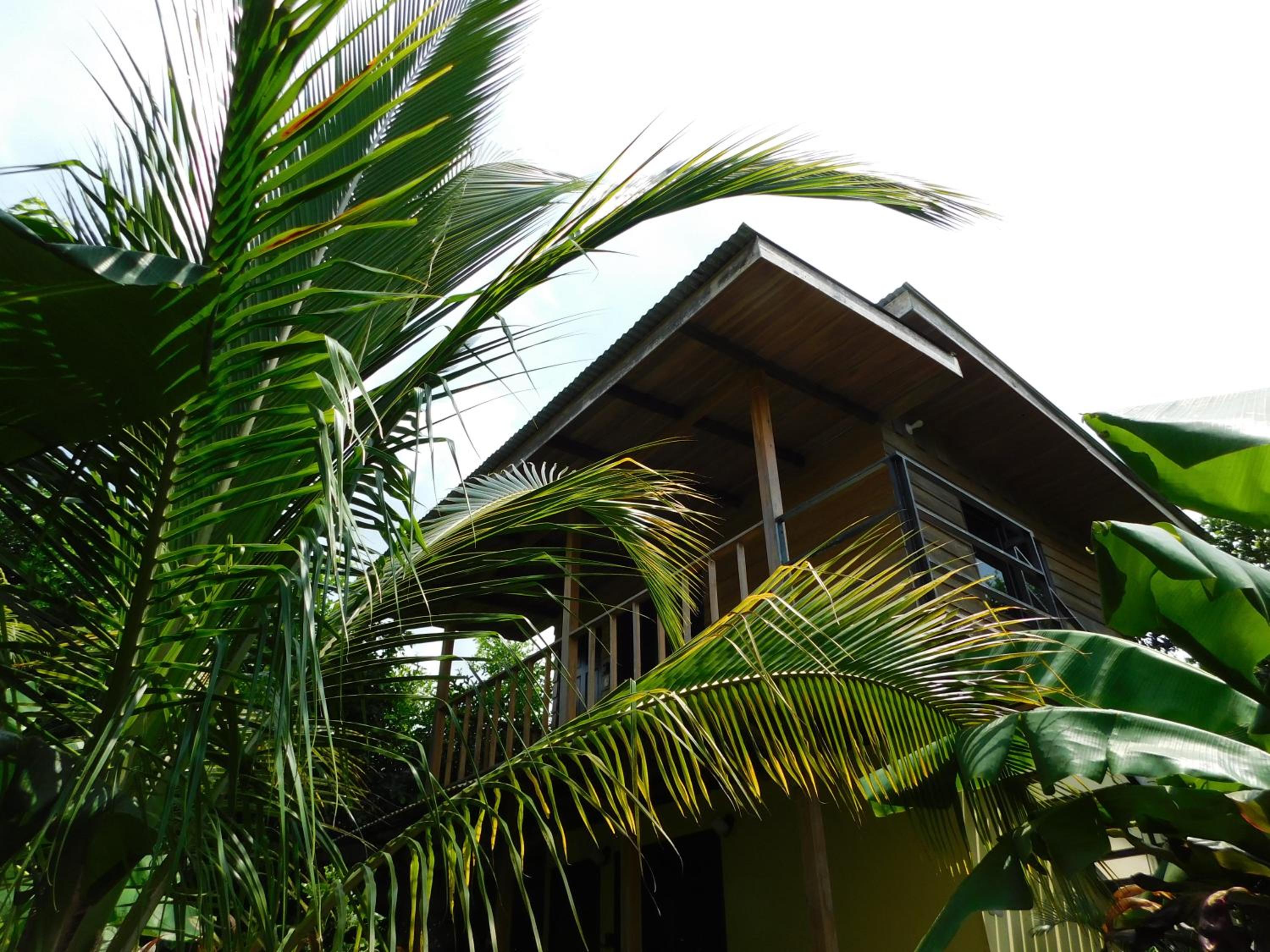 Chill-Inn Nosara