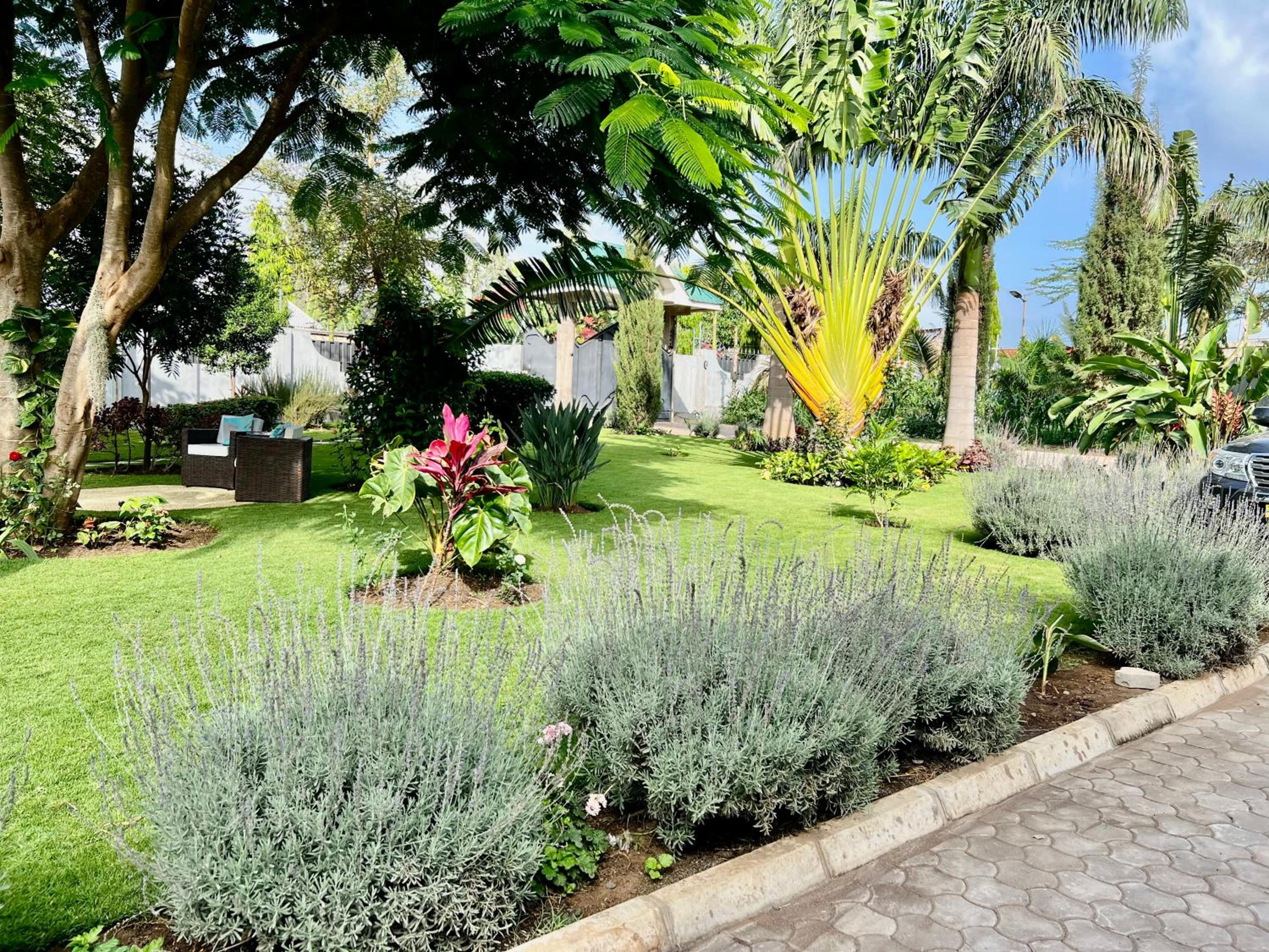 The Angelique Oasis view 4