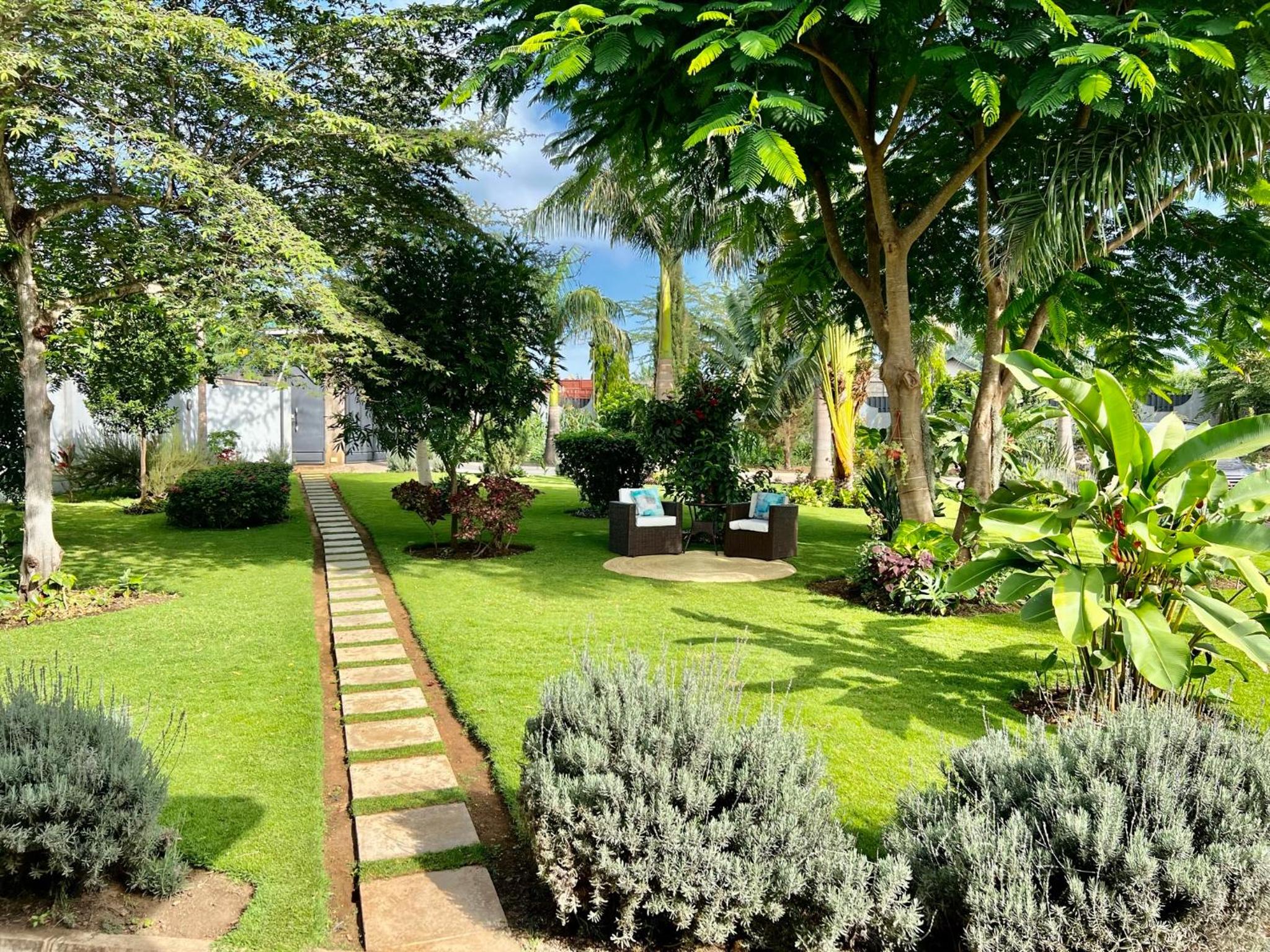 The Angelique Oasis view 5