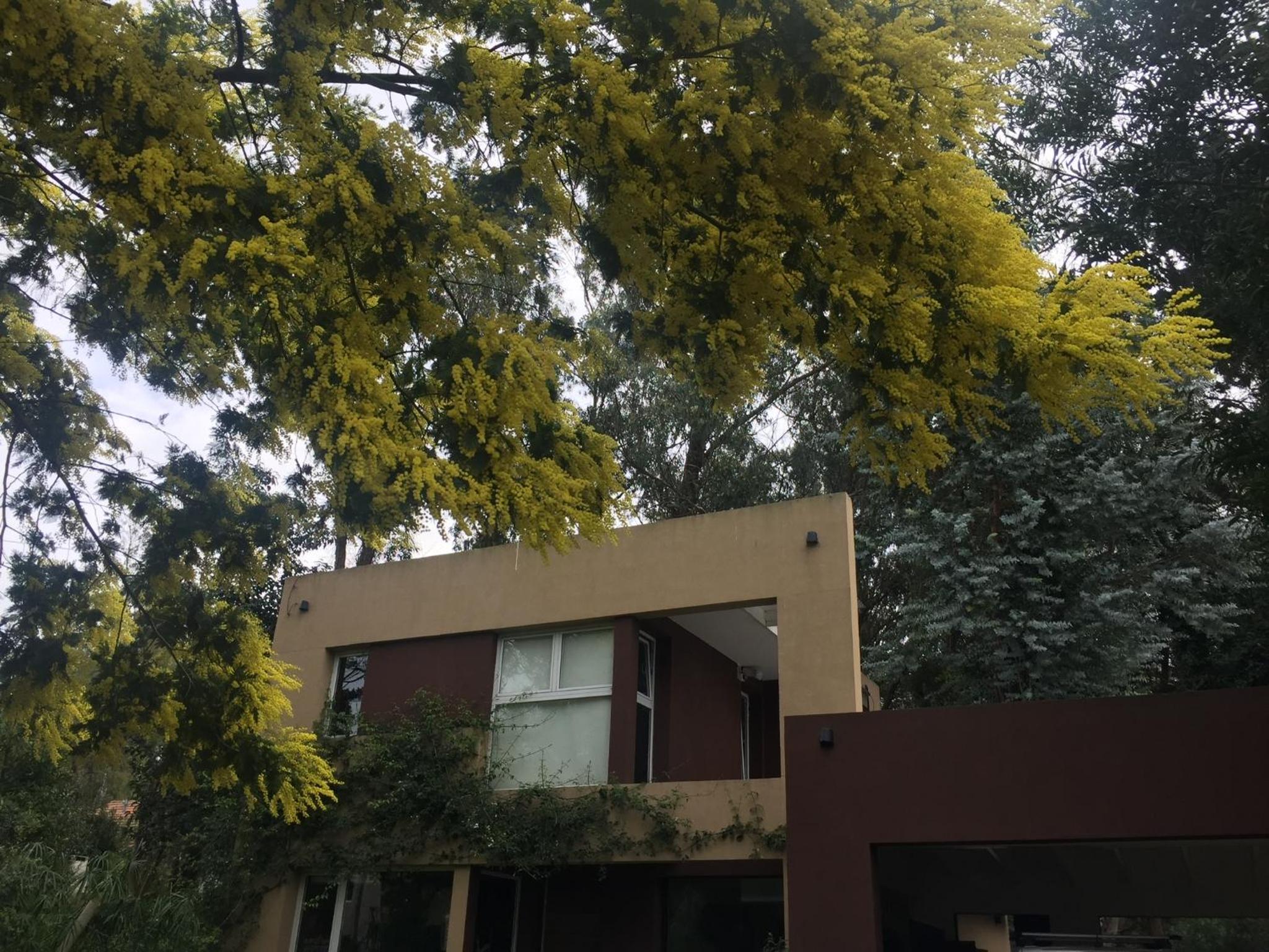 Hotel La Pasionaria - Image 1