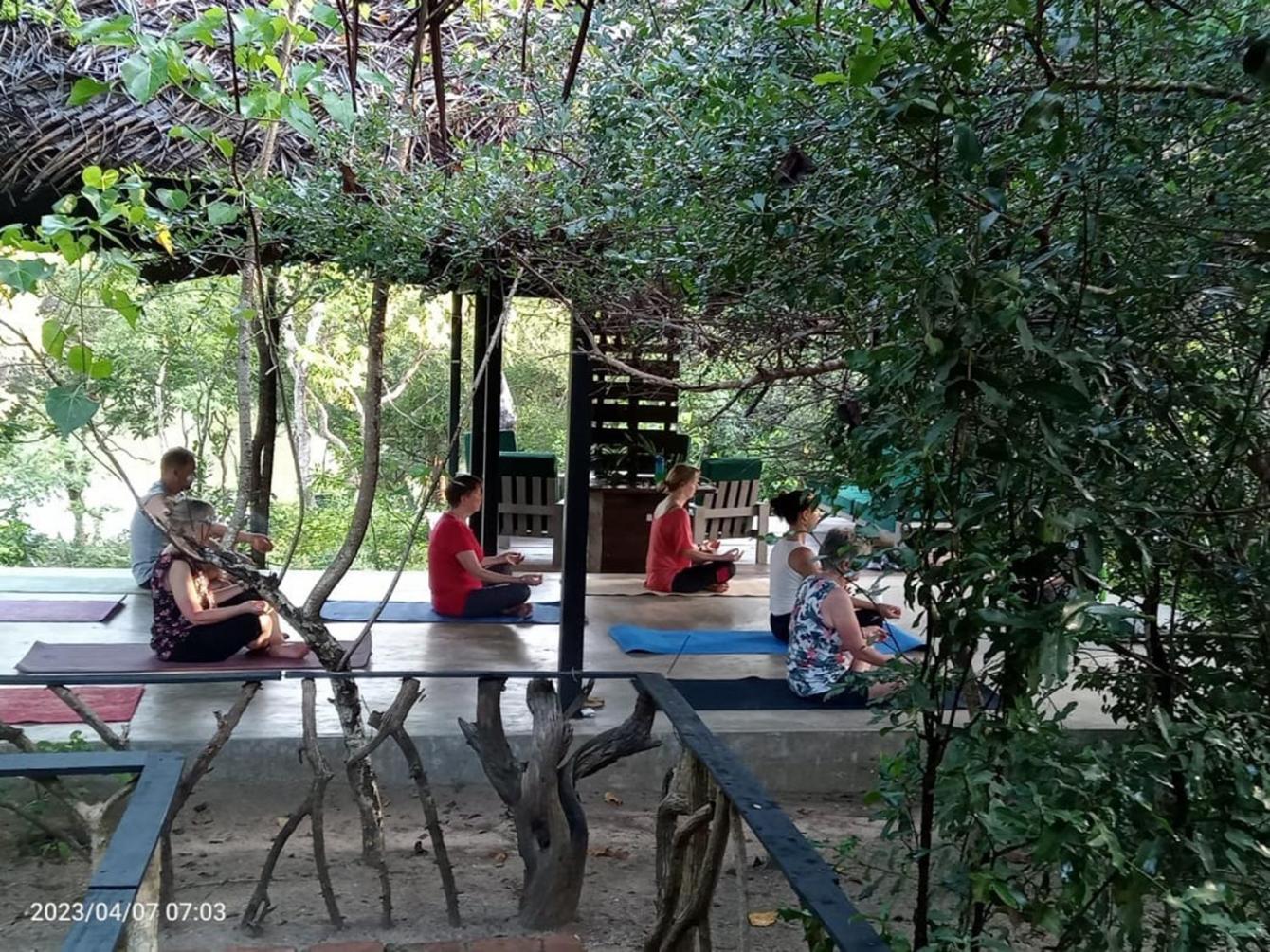 The Backwaters Lodge