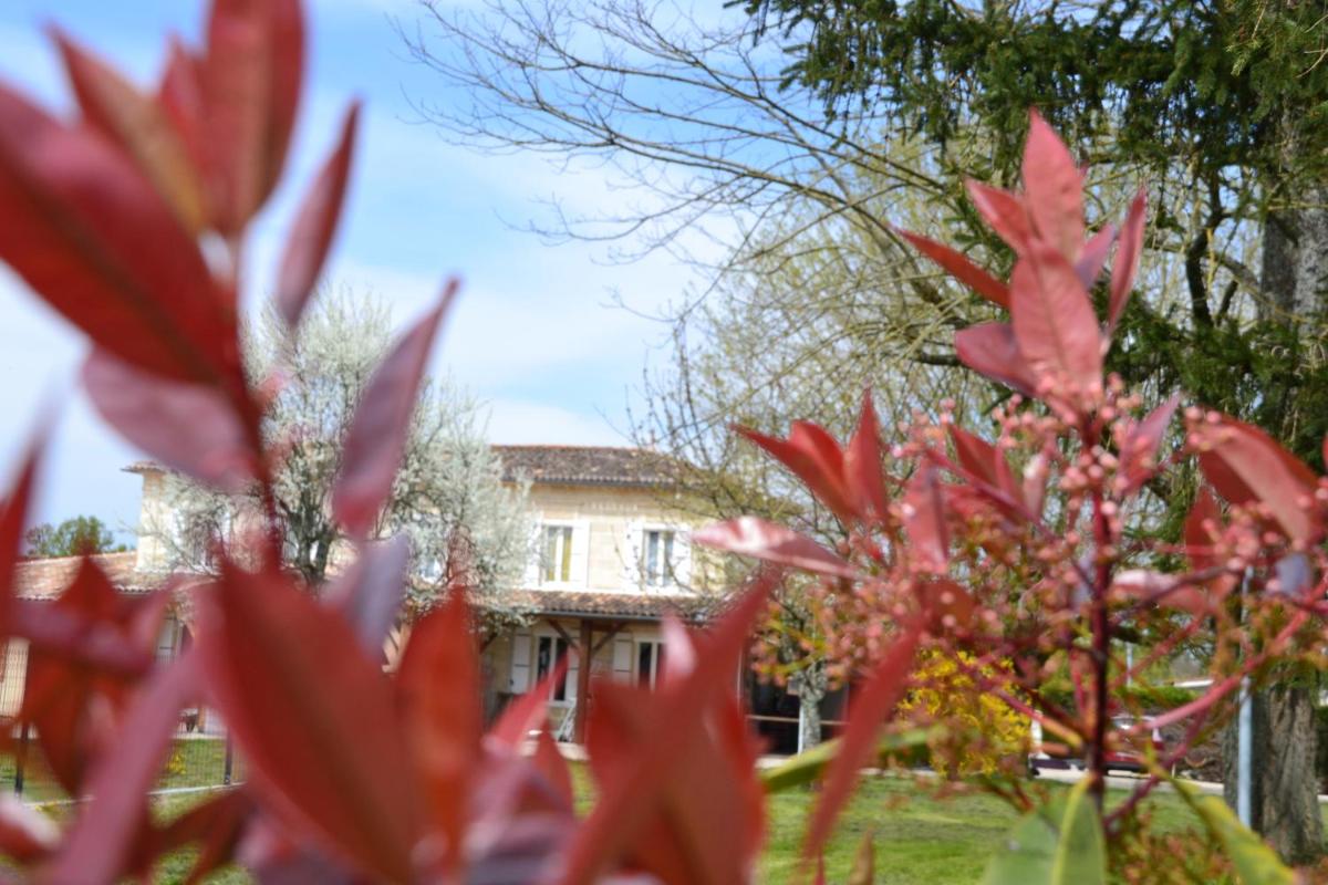 Maison d'Hôtes La Prévôté view 4