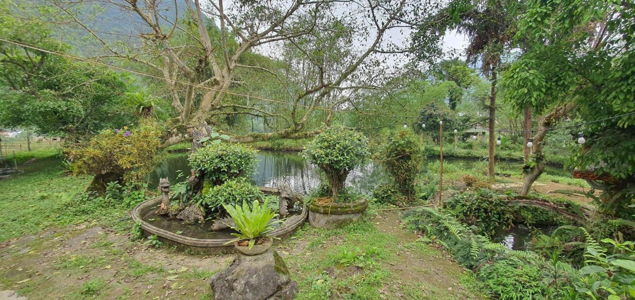 Photo 16