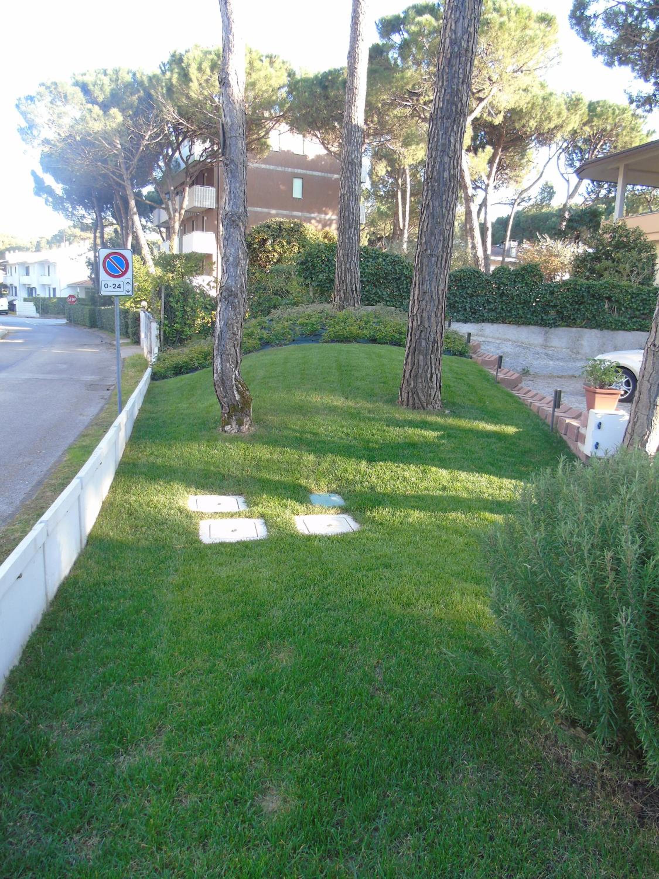 Photo 53
