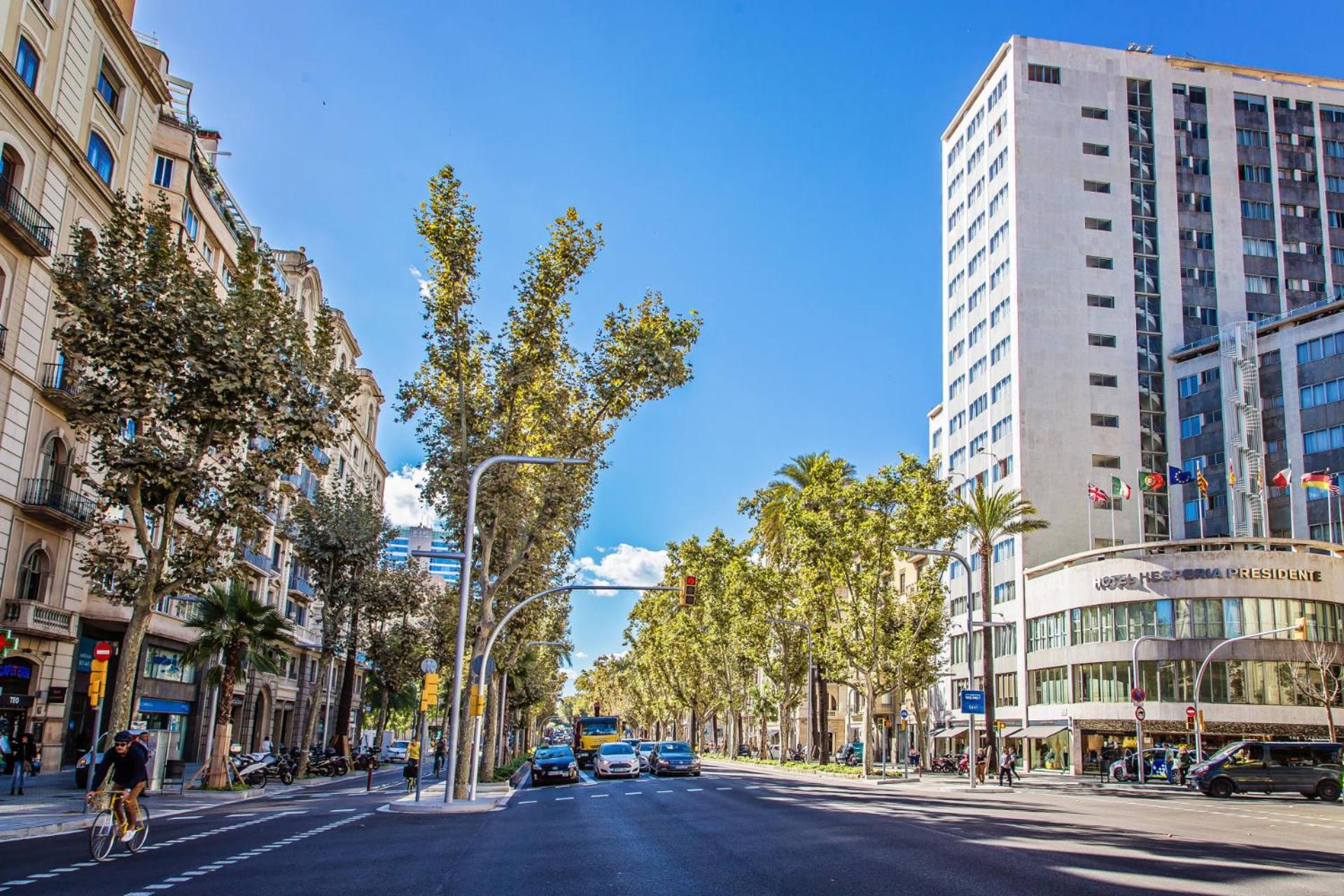 Sweett - Diagonal - Francesc Macia
