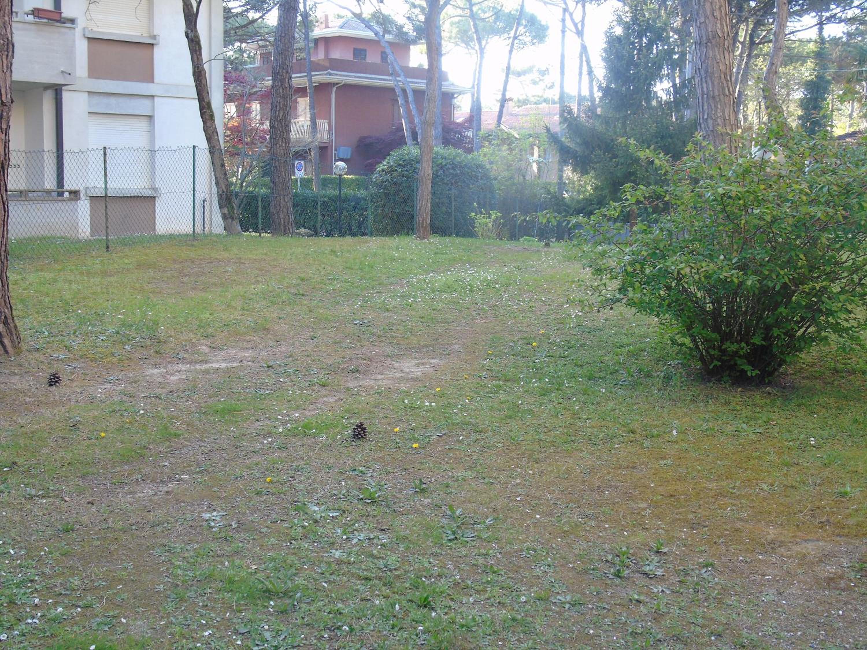 Photo 56