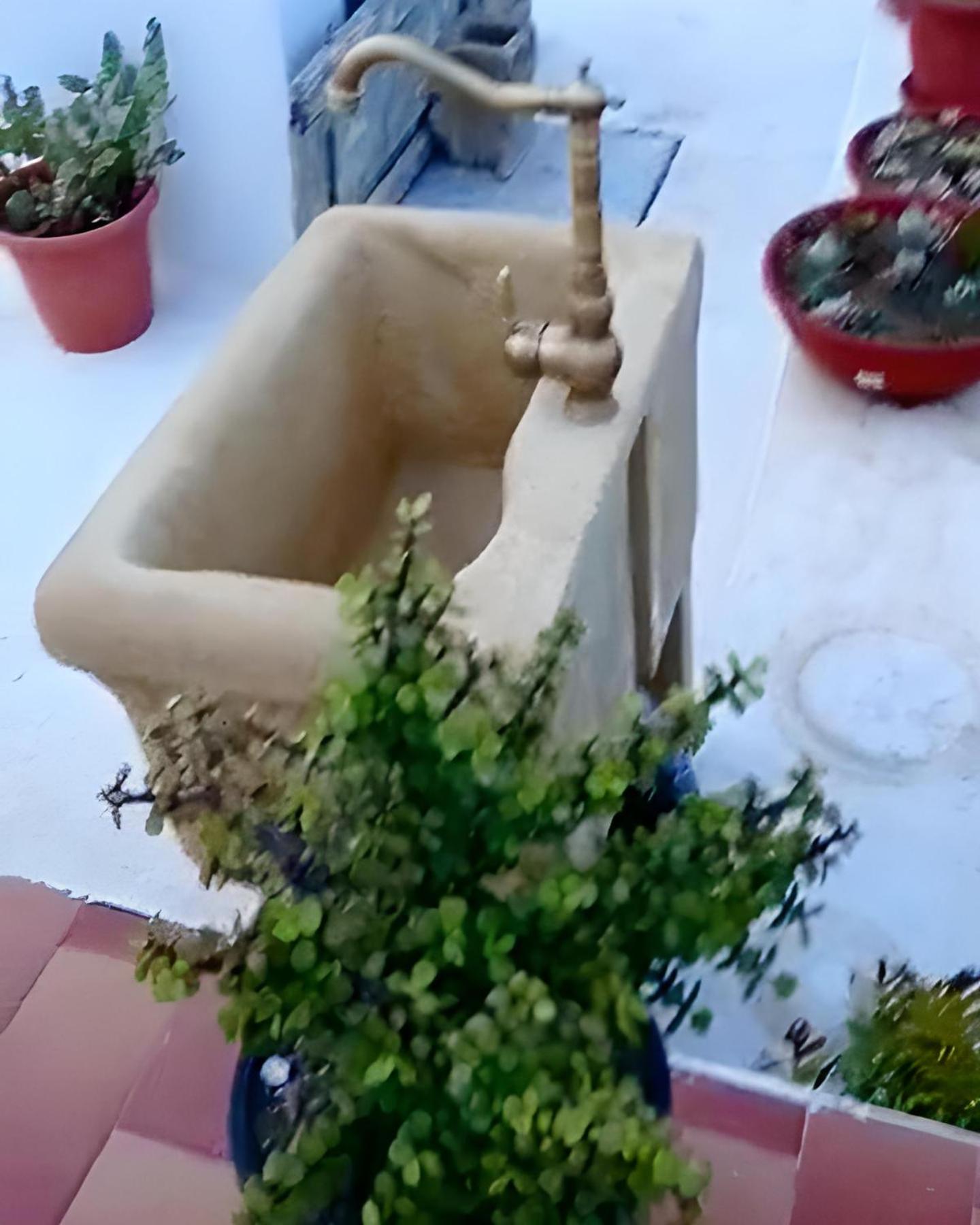 Dammuso Pantelleria - Fiori D'Ossidiana