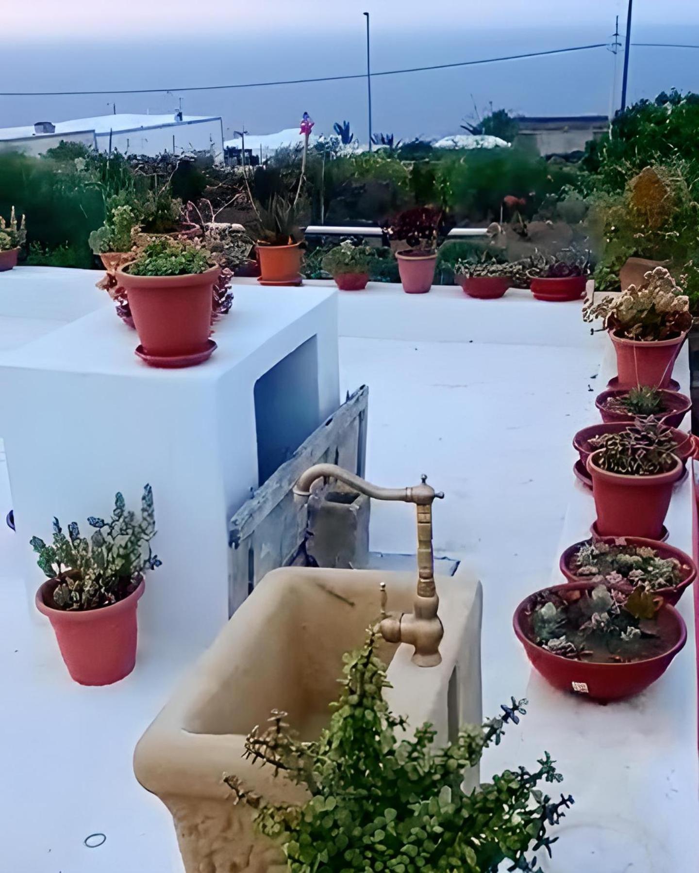 Dammuso Pantelleria - Fiori D'Ossidiana