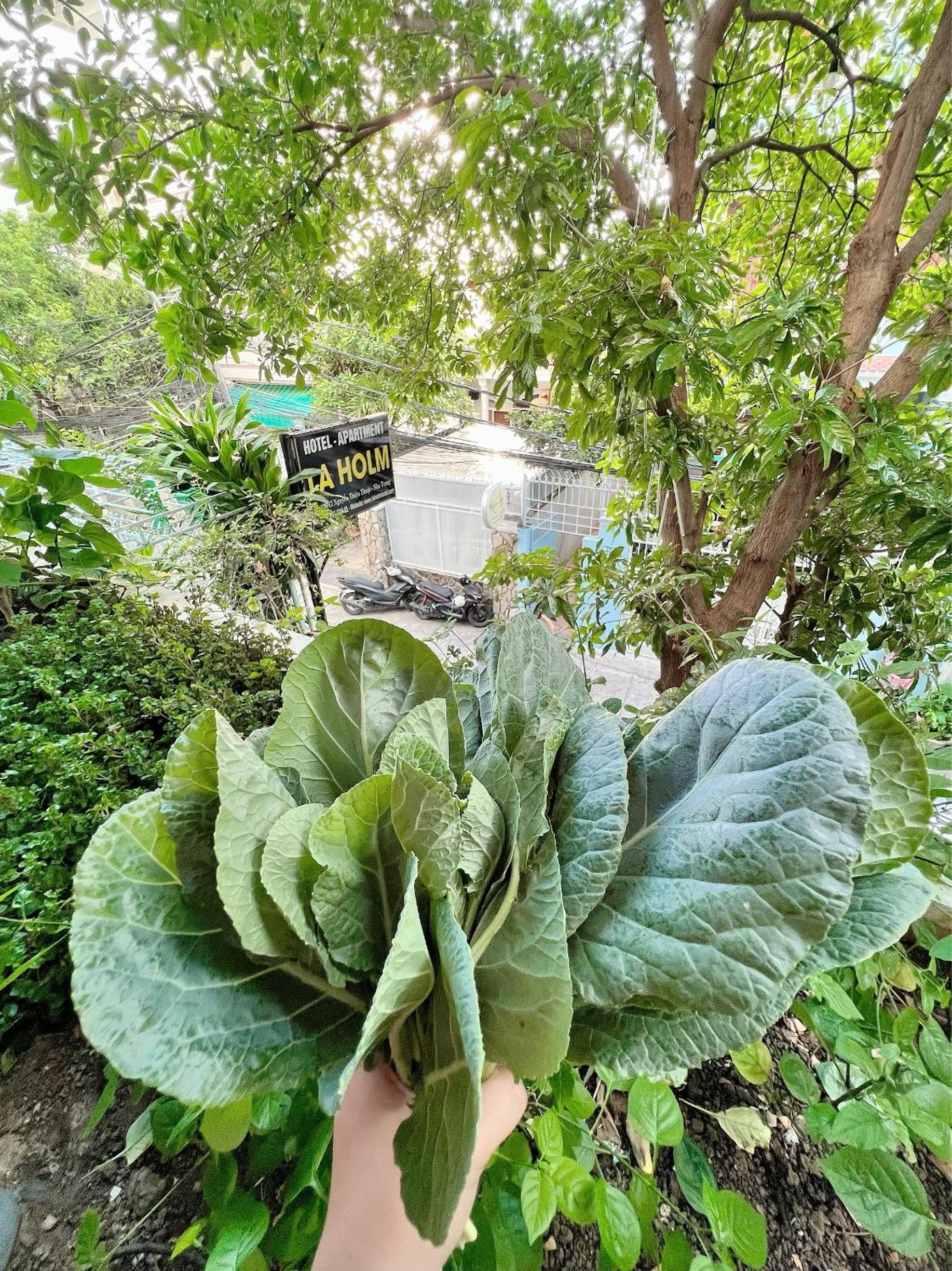 Laholm Hotel - Apartment