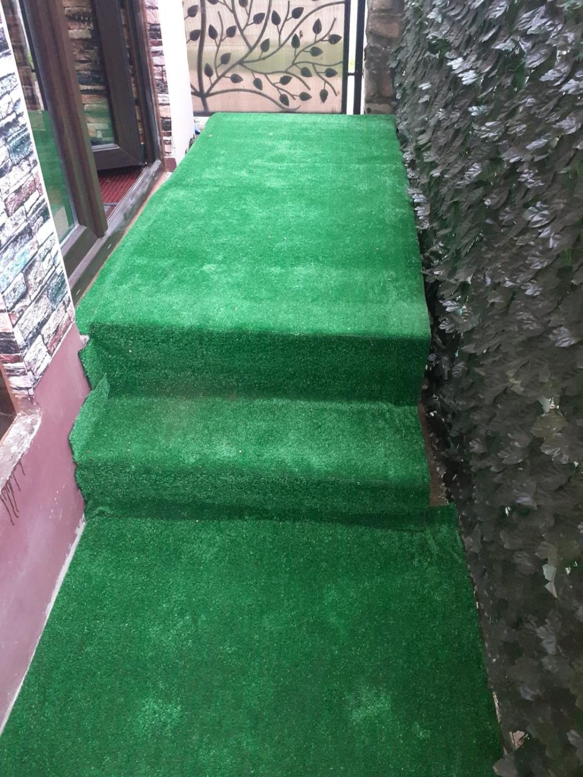 Magic Home