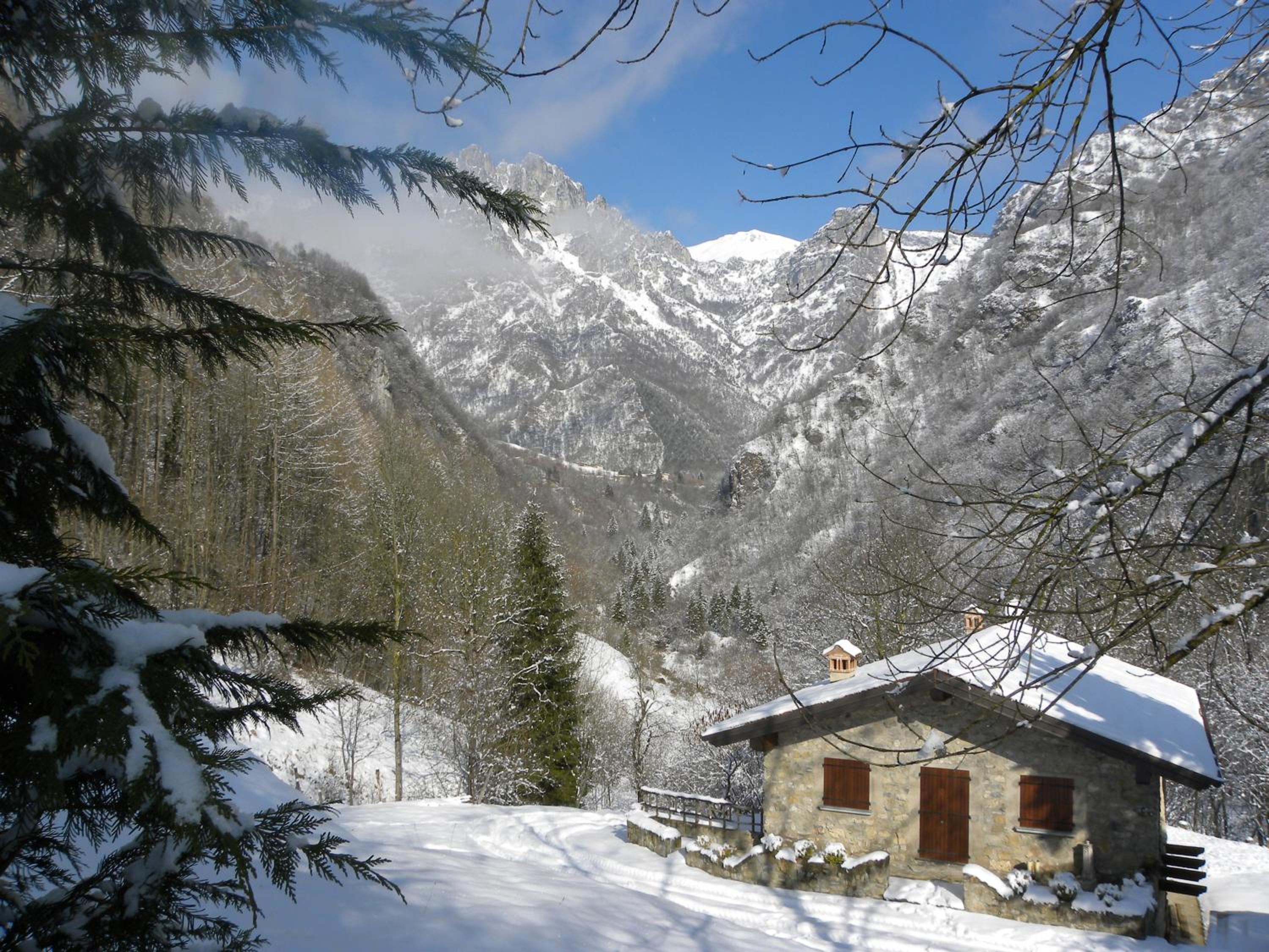 B&B Piccolo Tibet