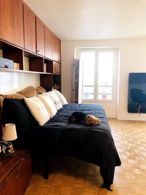 Habitation Salomé