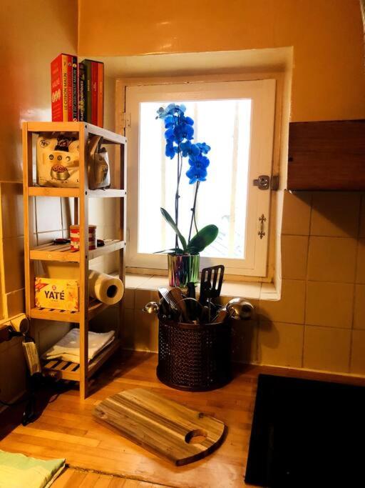 Habitation Salomé