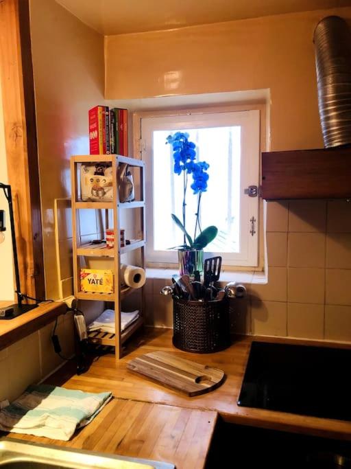 Habitation Salomé