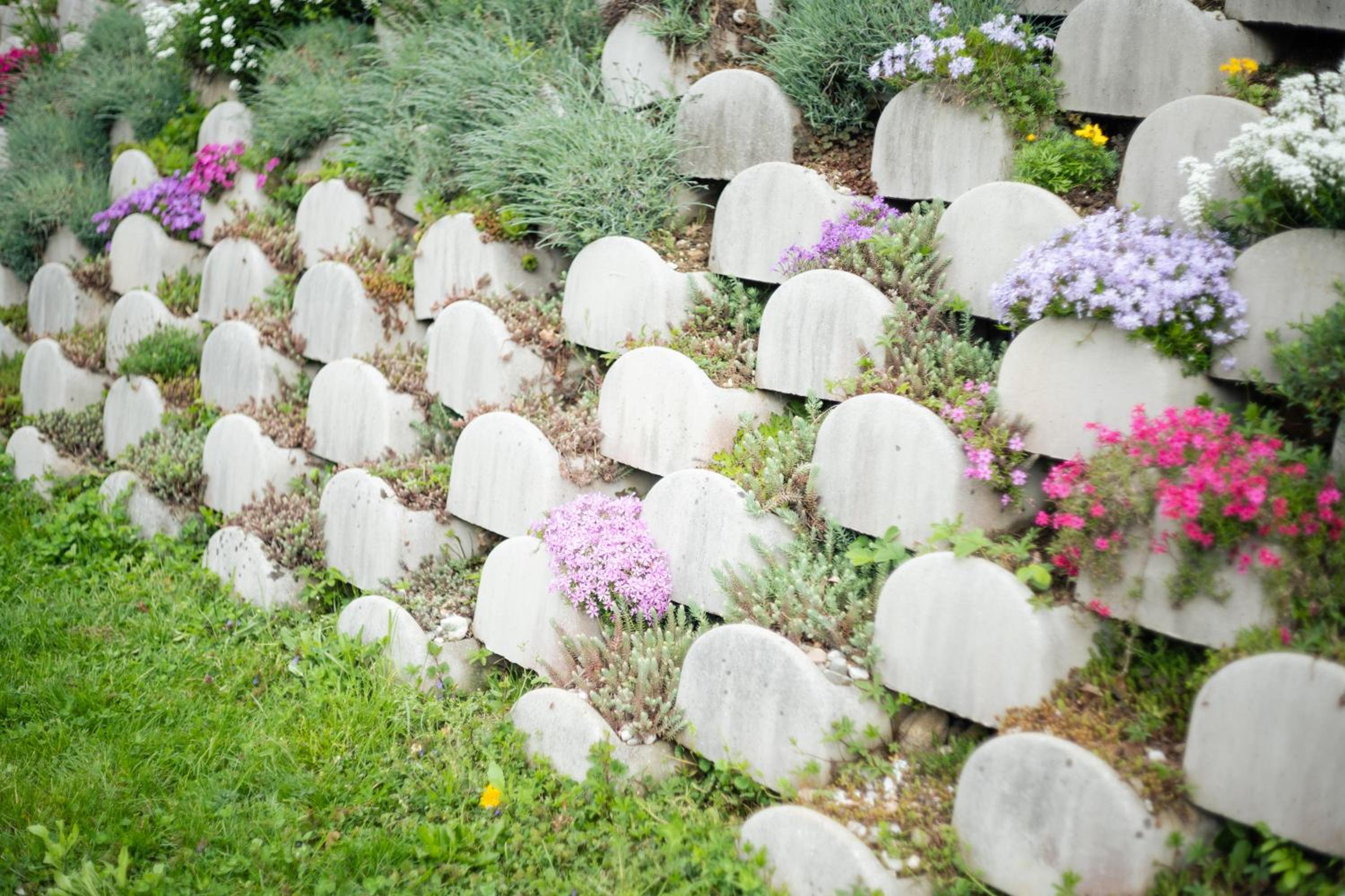 Apartment Kanalec