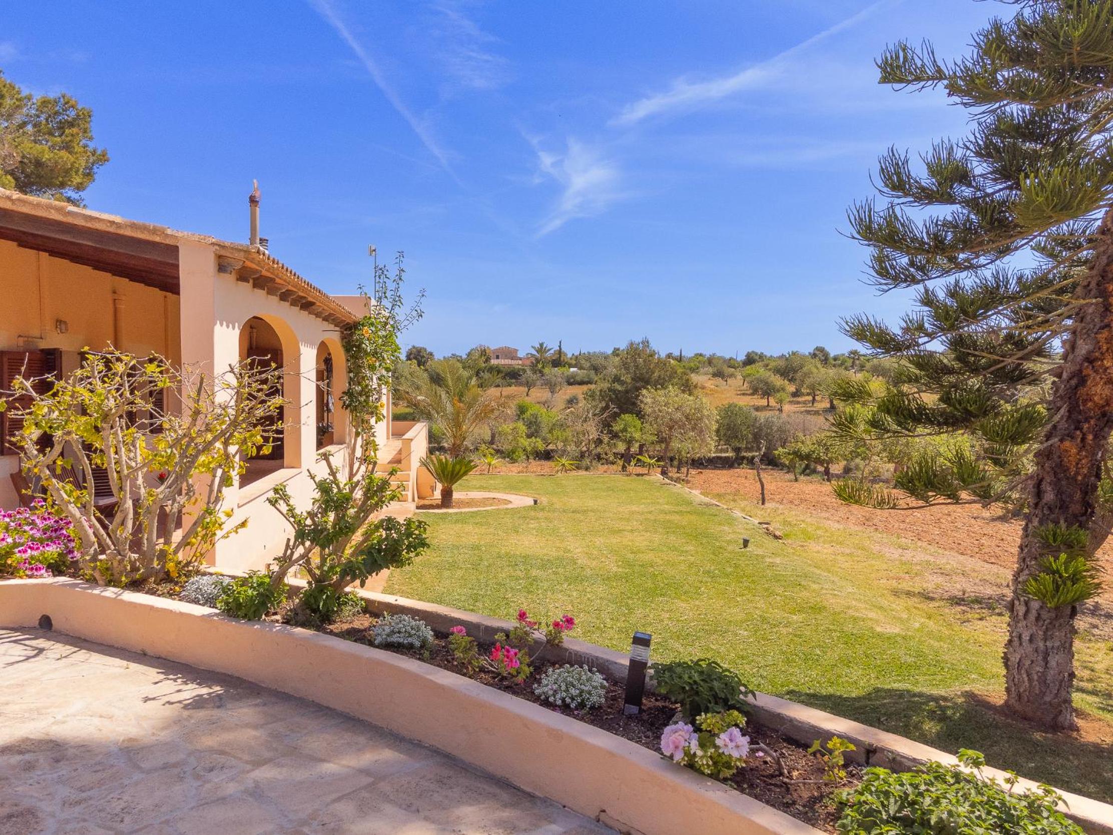 Finca Torrent Des Jai view 5