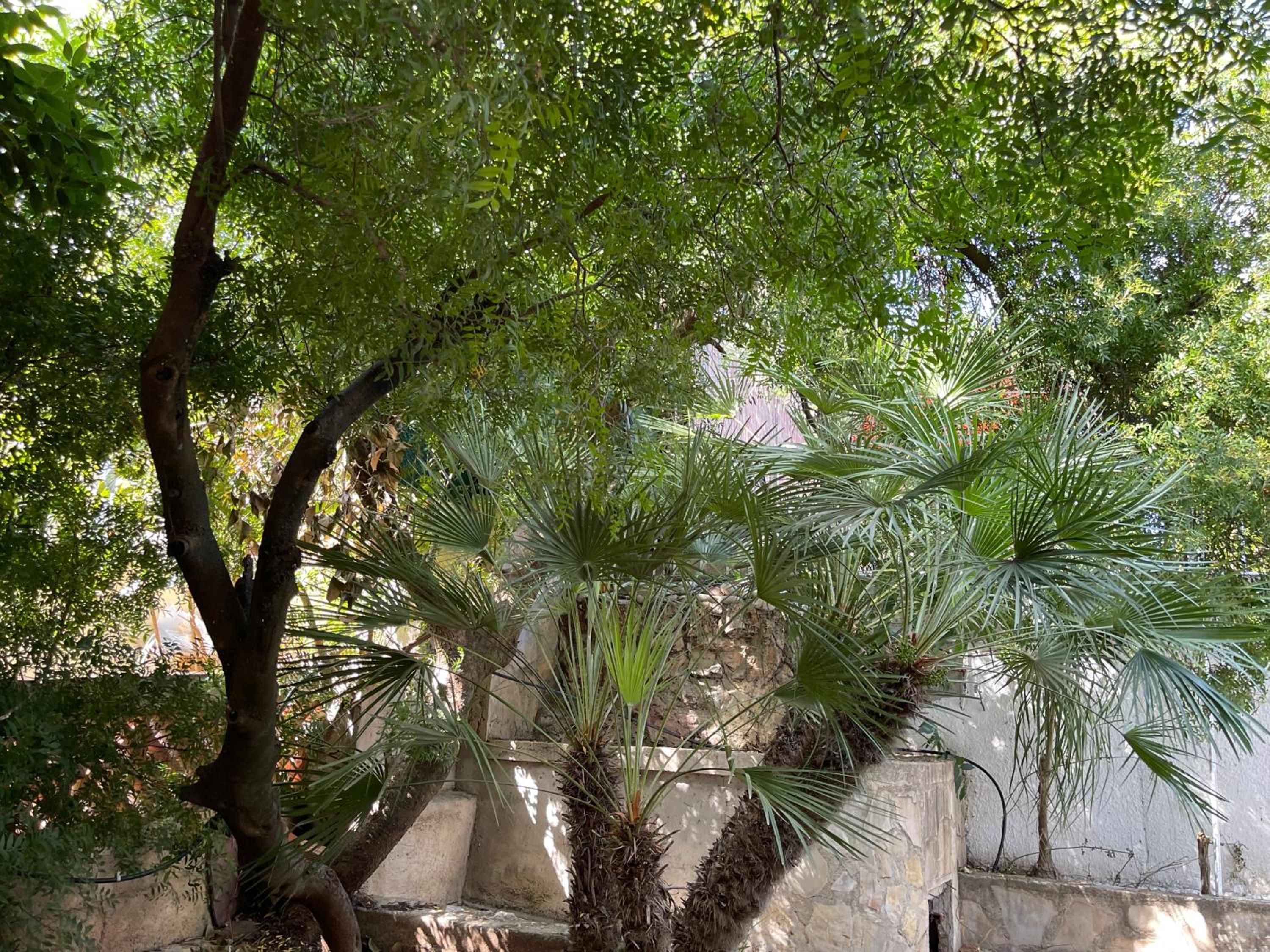 Villa GAN EDEN
