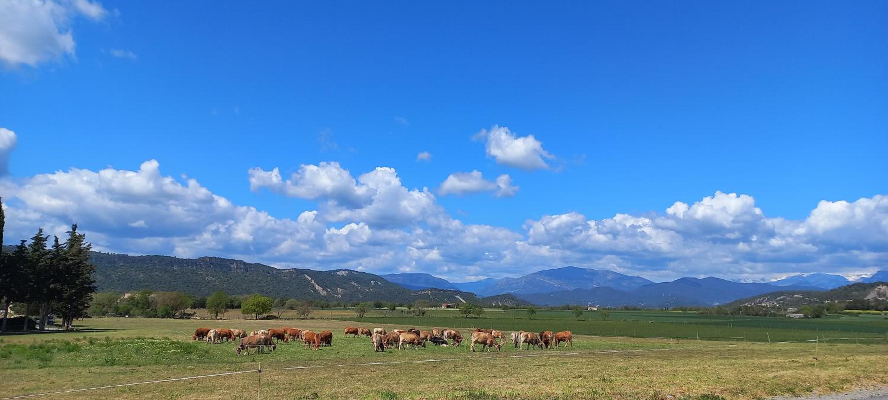 Casas Pirineo, Ainsa