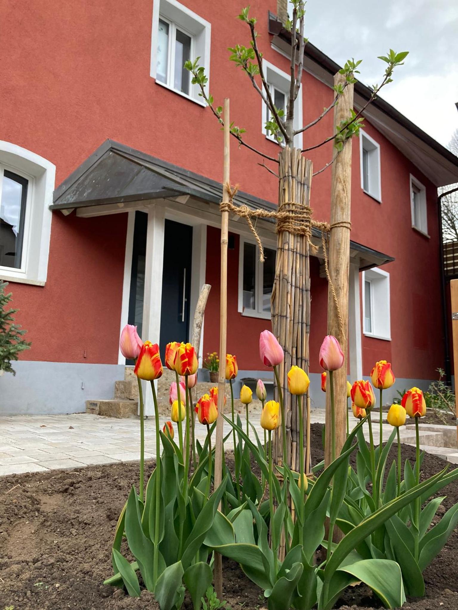 Ferienwohnung Rotes Haus, photo 15