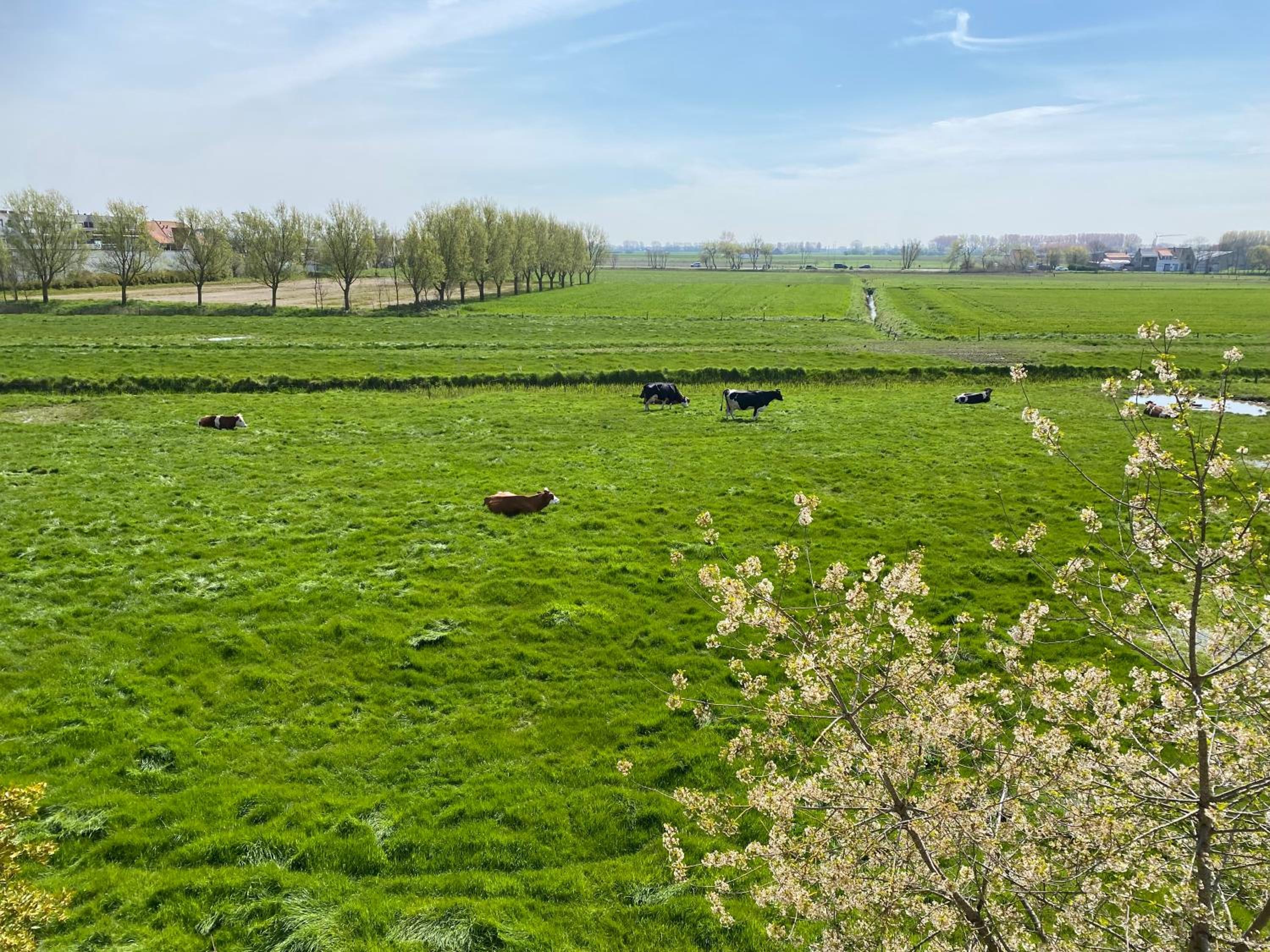 Villa La Dune - Ontbijt & parking inclusief