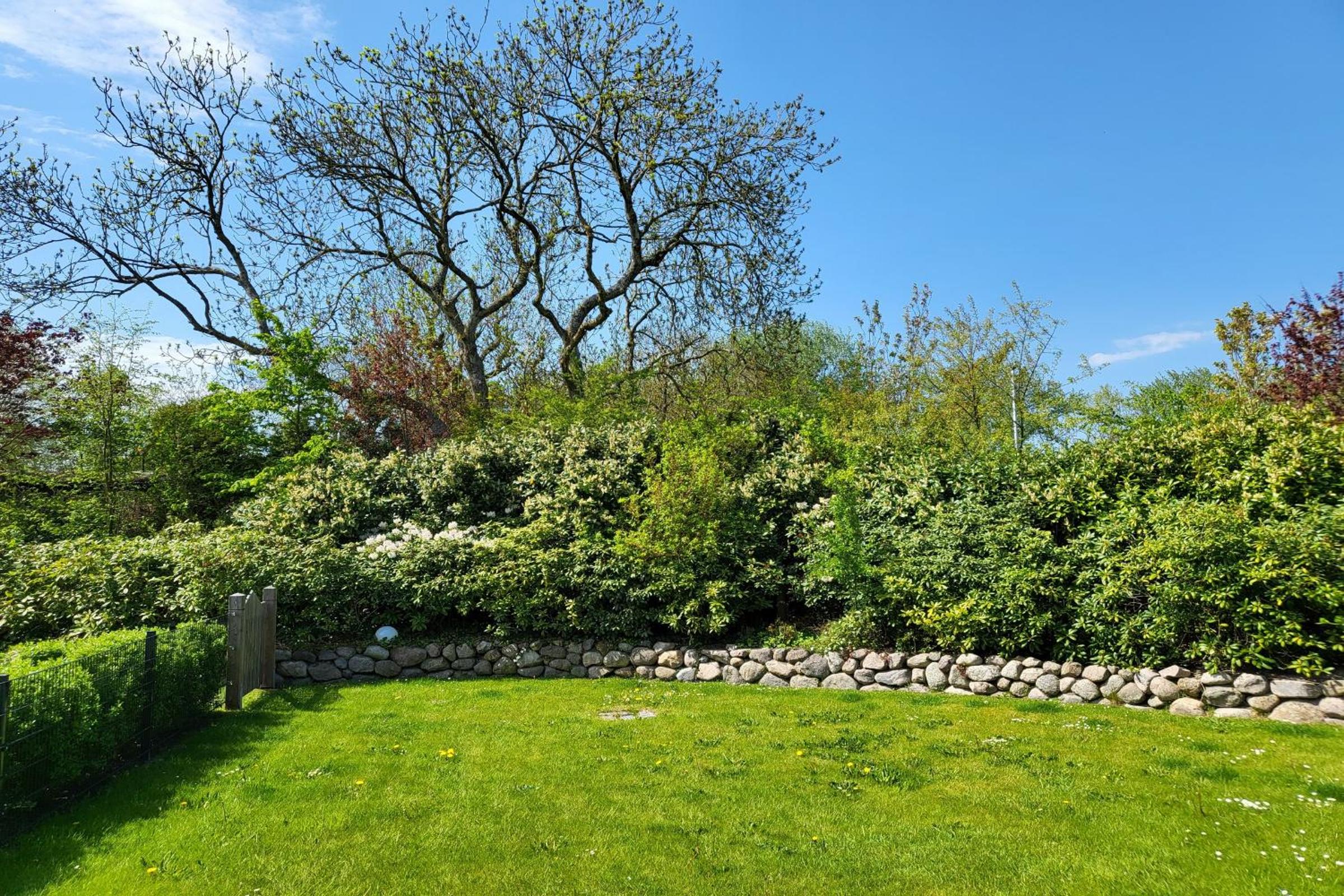 Photo 36