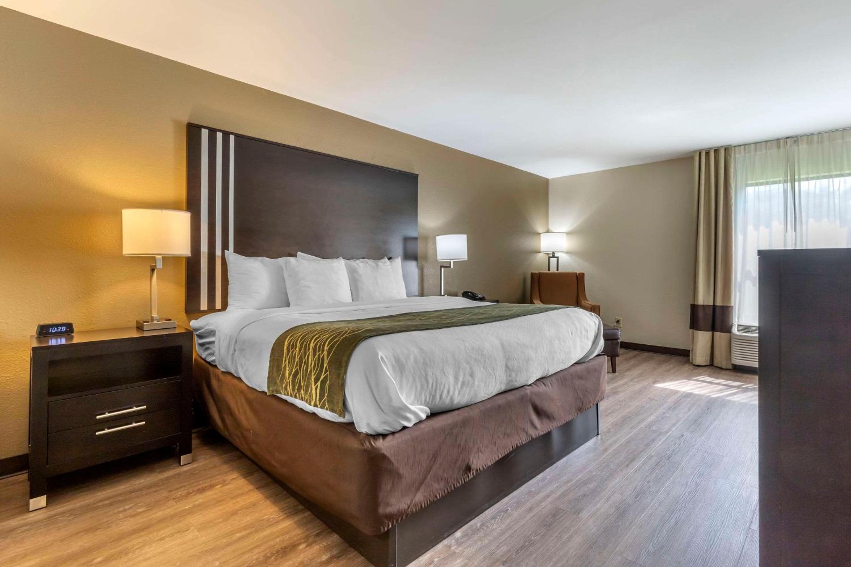 Comfort Inn near Downtown & Blue Ridge PKWY, Billede 40