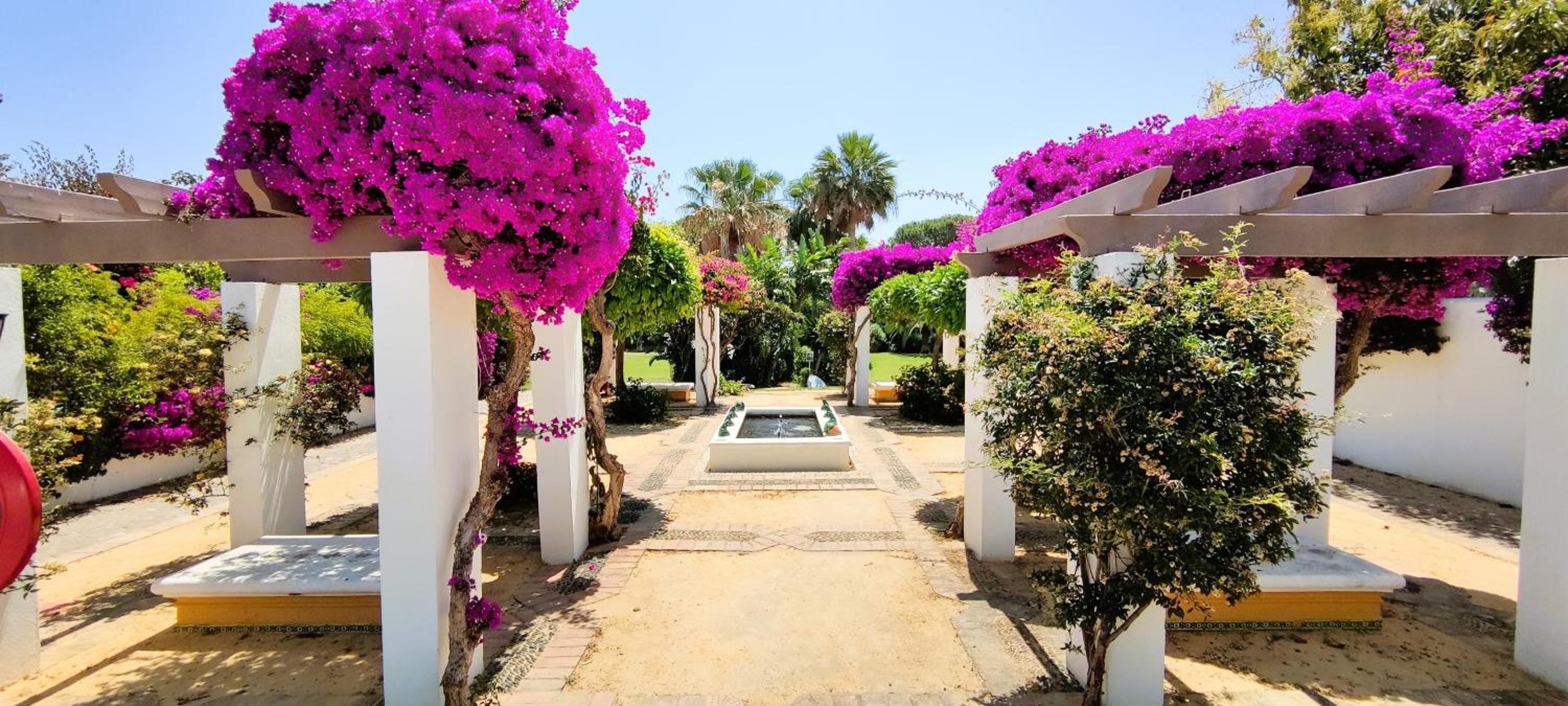 Apartamento con Jardin y Piscina en Playa