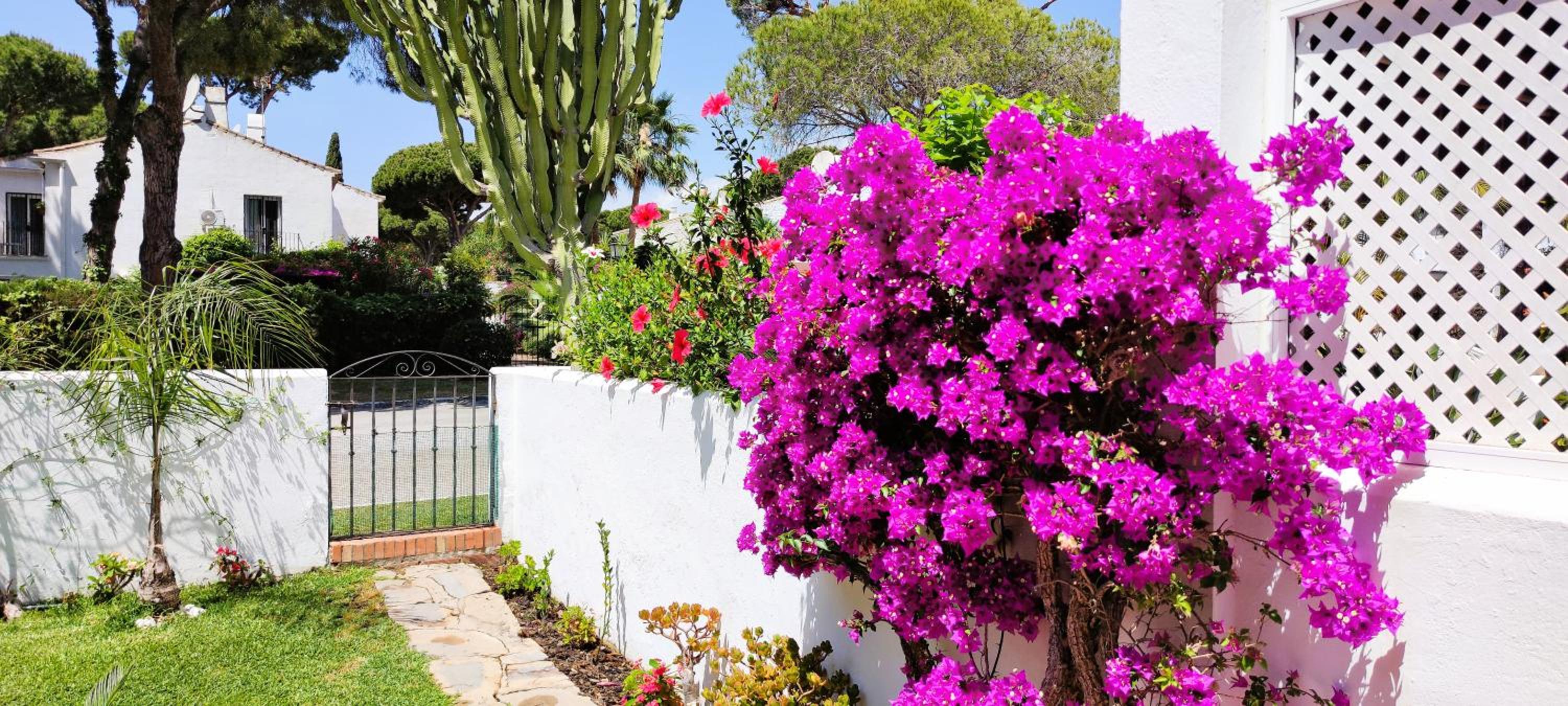 Apartamento con Jardin y Piscina en Playa