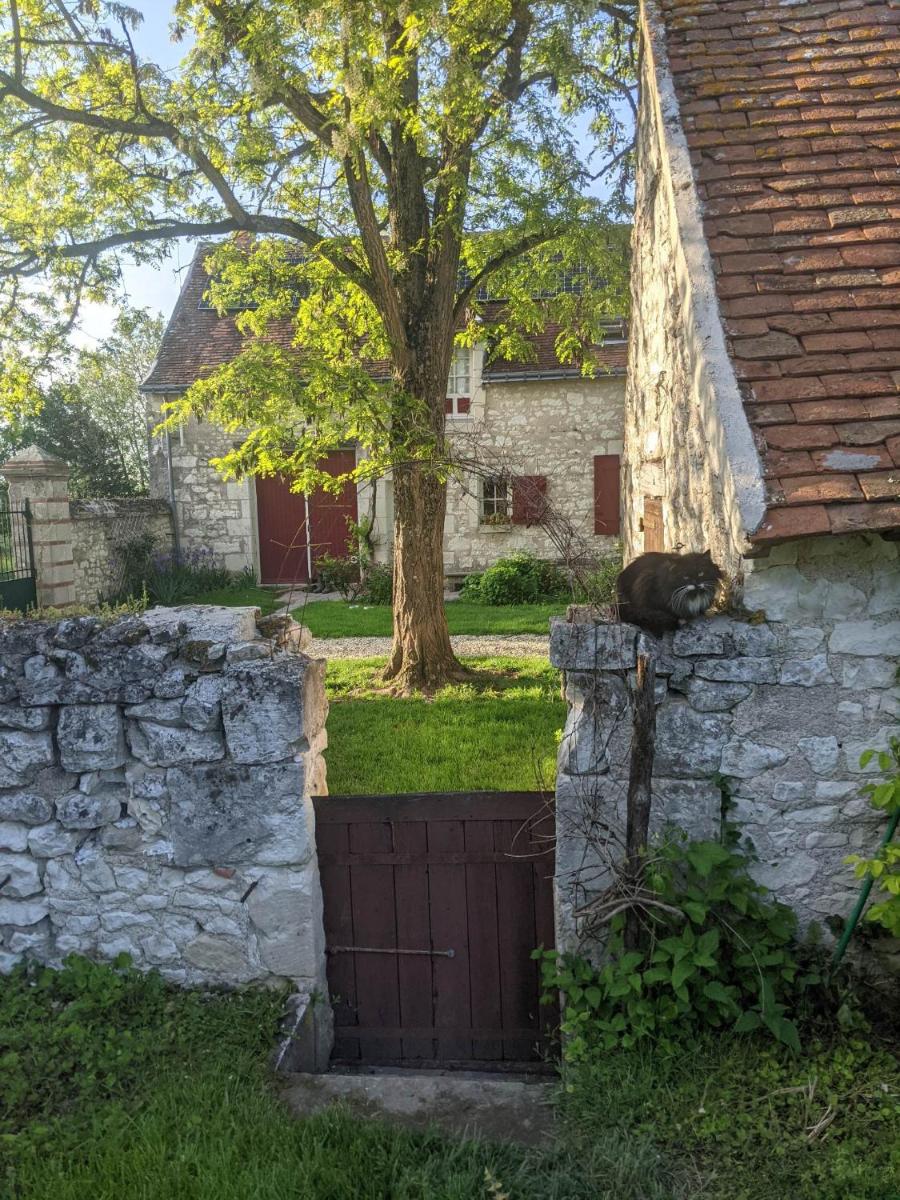 Photo 14