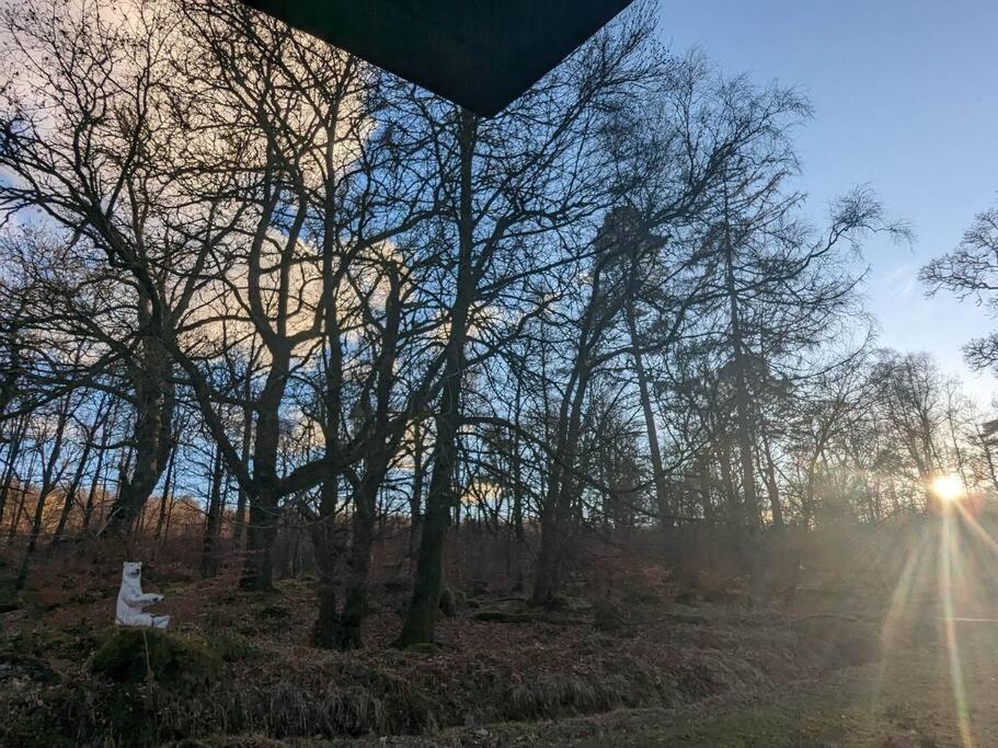 Westmains Lodge