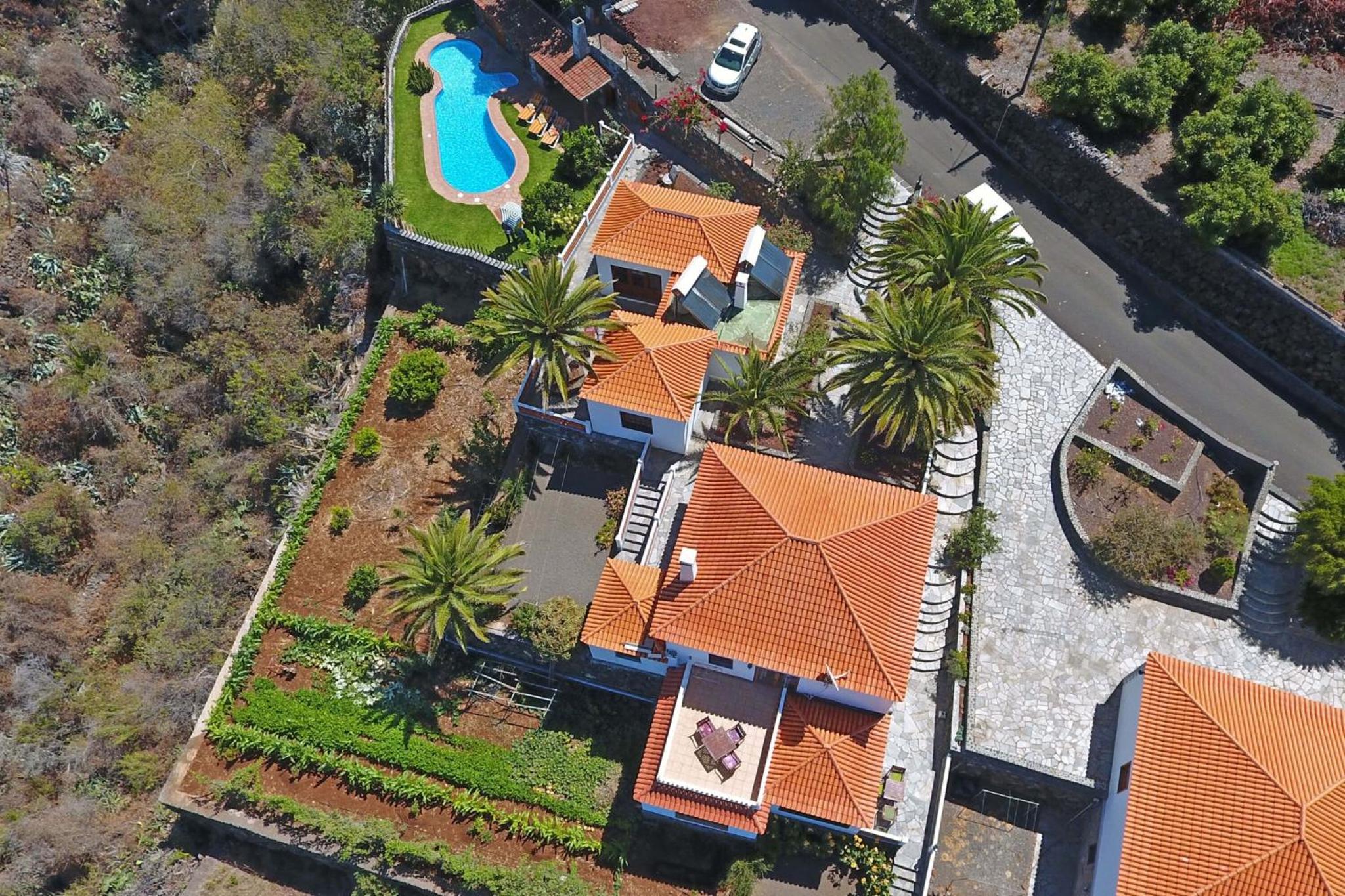 Las Palmeras C