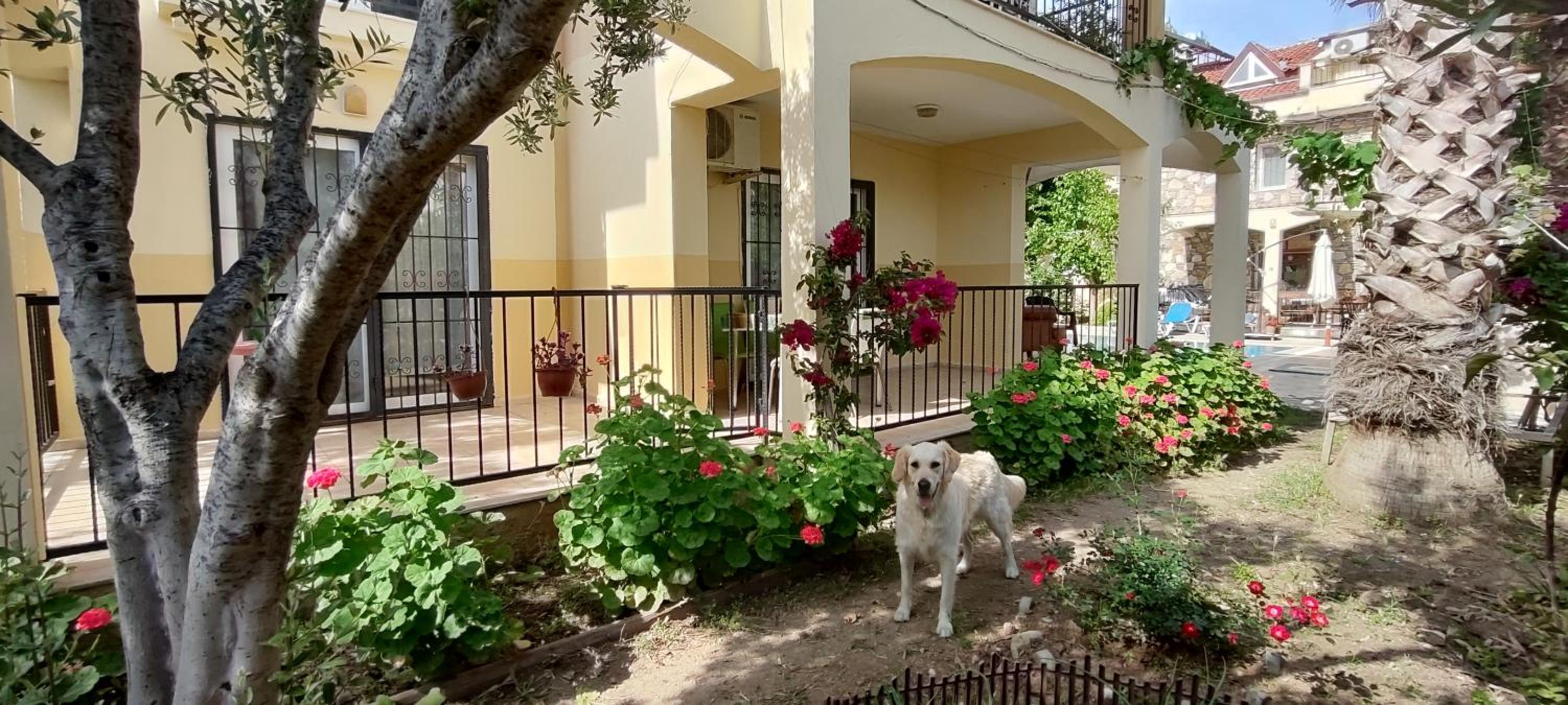 çileks apart otel - Image 159