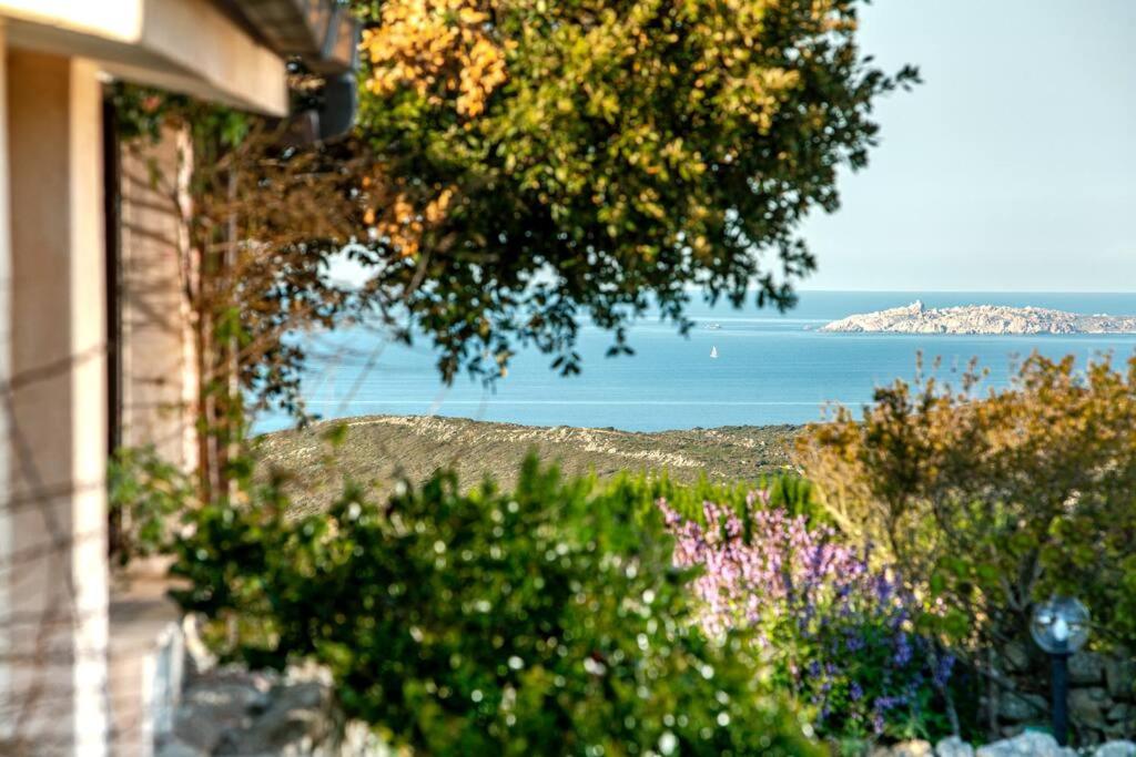 Villa Giuliana view 4