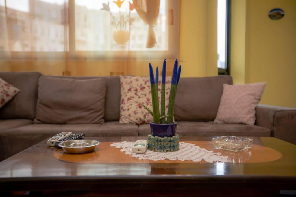 Cosy Appartement in Tirana