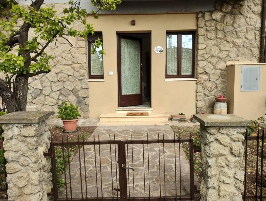 Photo 21