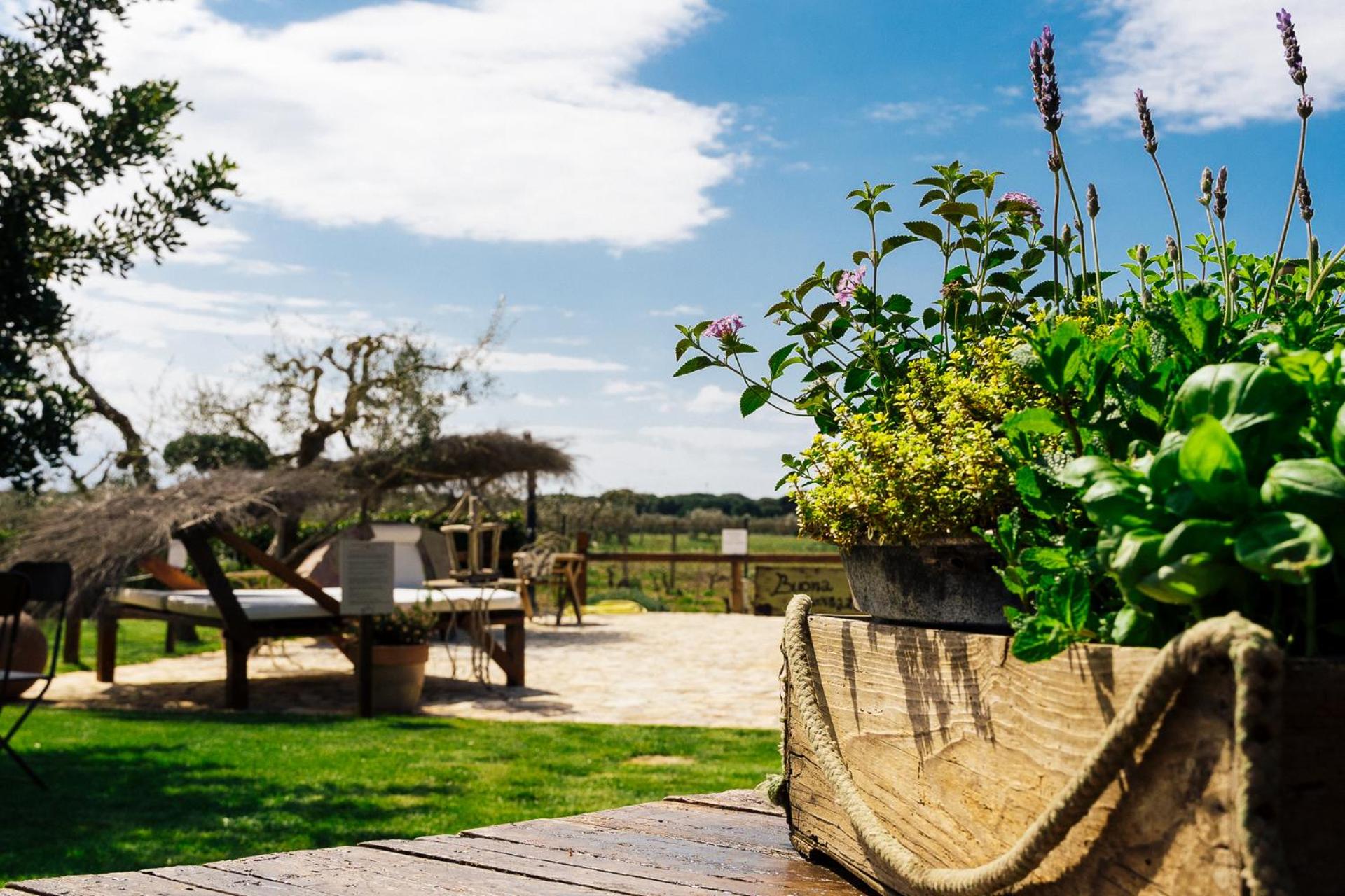 Agriturismo Sweet Cottage
