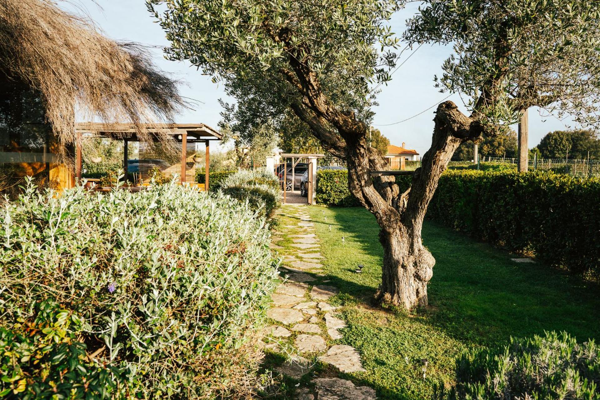 Agriturismo Sweet Cottage
