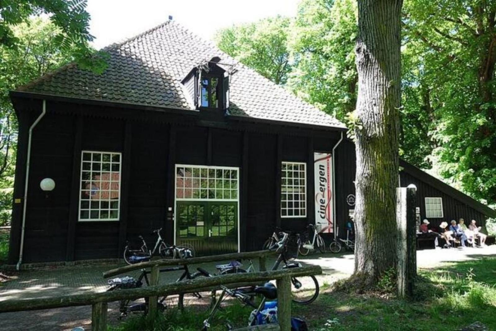 Duinstudio Bergen